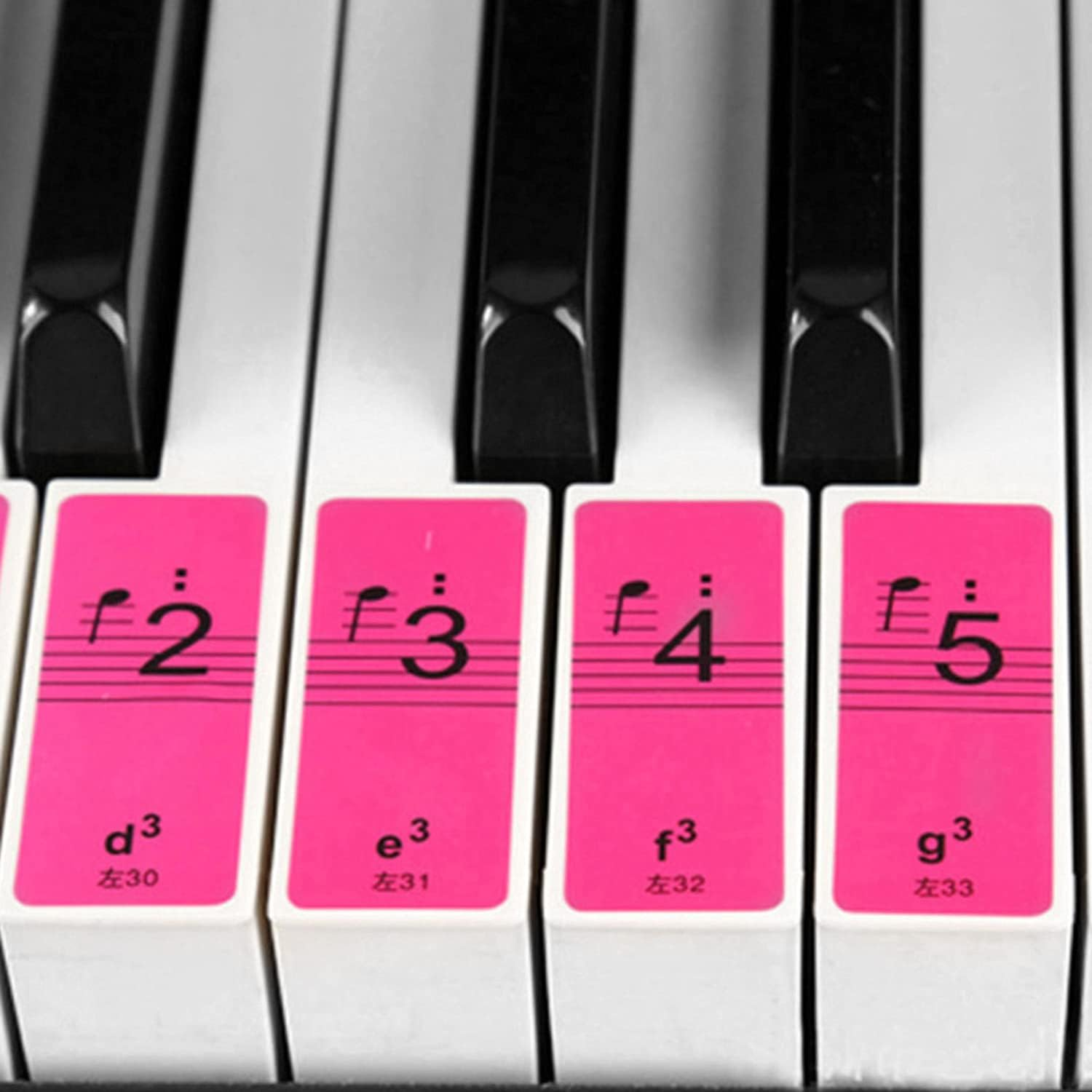 RAYWE Piano Keyboard Keys Stickers for Beginners for 88/61/54 Keys Piano
