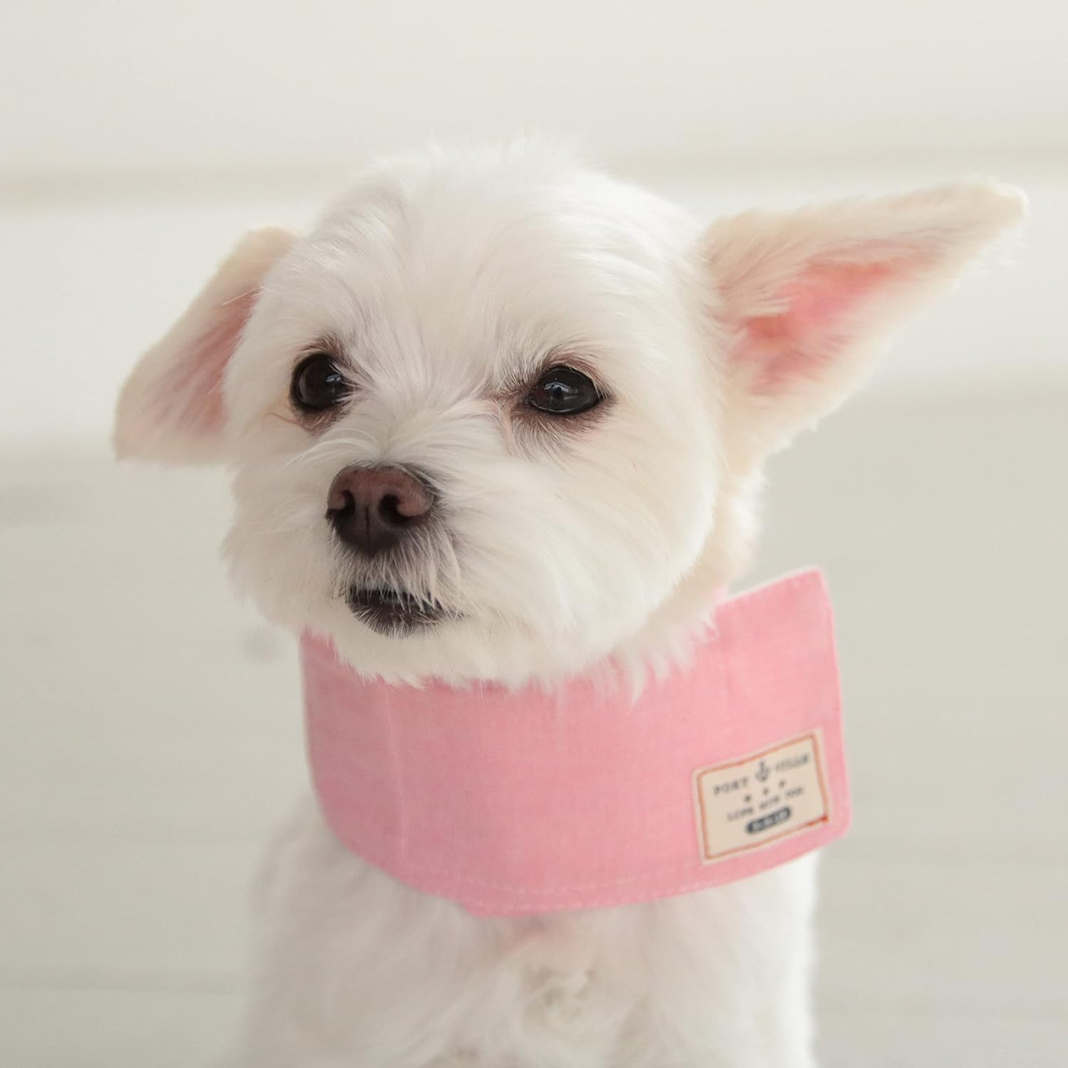 Dog and Life Cool Neck Band EX (With Soft Ice Pack), Pink, Dog, XL Size image number 5