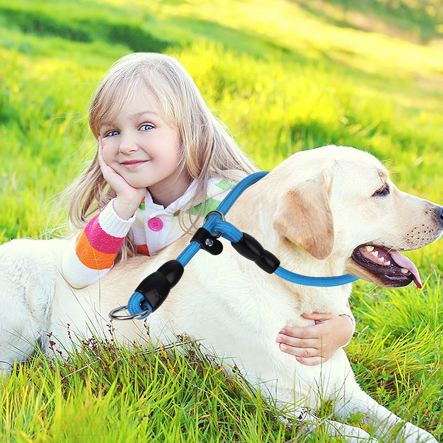 TIESOME Slip Collar Train Choke, round Nylon Rope No Pull P-Collar for Small Medium Large Dogs (Blue S) image number 4