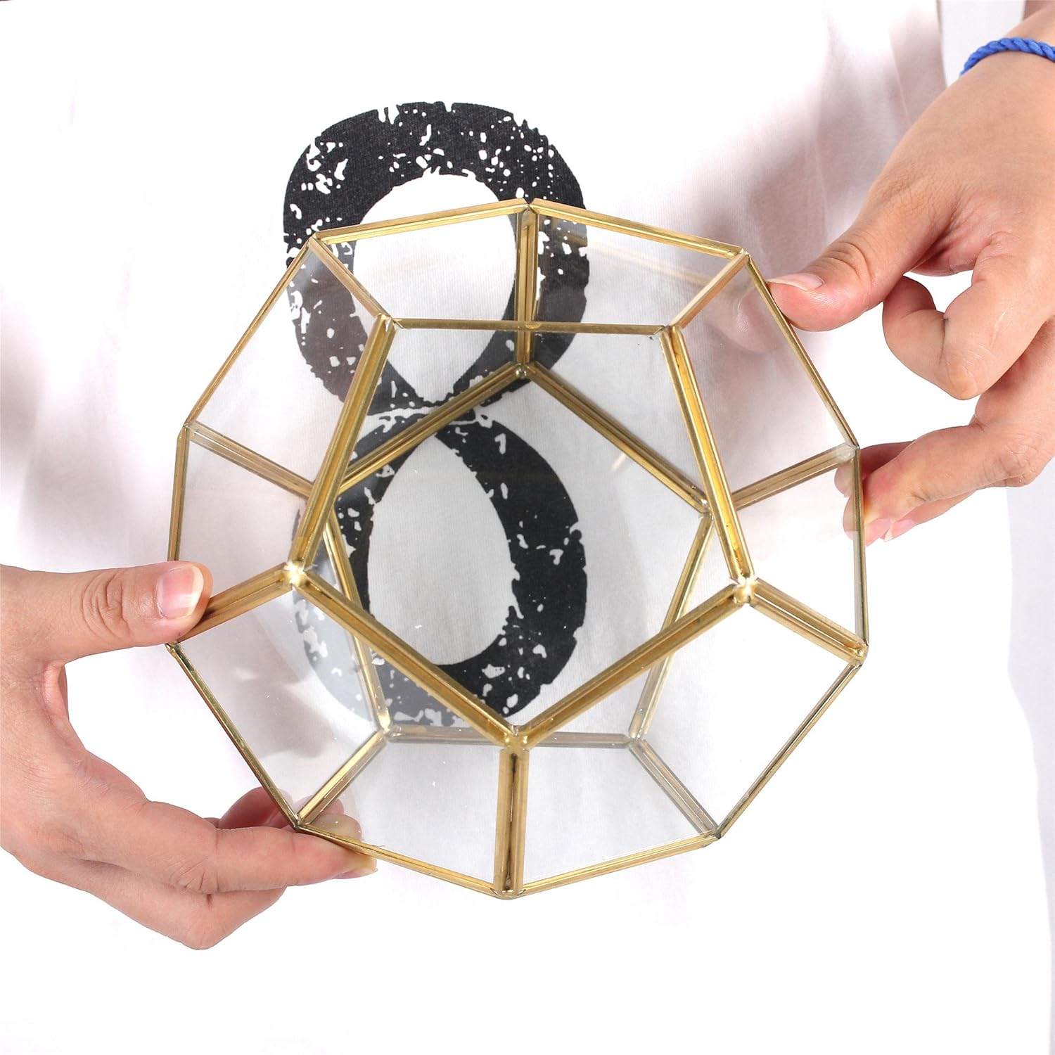 NCYP Brass Glass Pentagon Regular Dodecahedron Geometric Terrarium Container Desktop Planter for Succulent Fern Moss Air Plants Holder Miniature Outdoor Fairy Garden (No Plants,No Door) image number 3