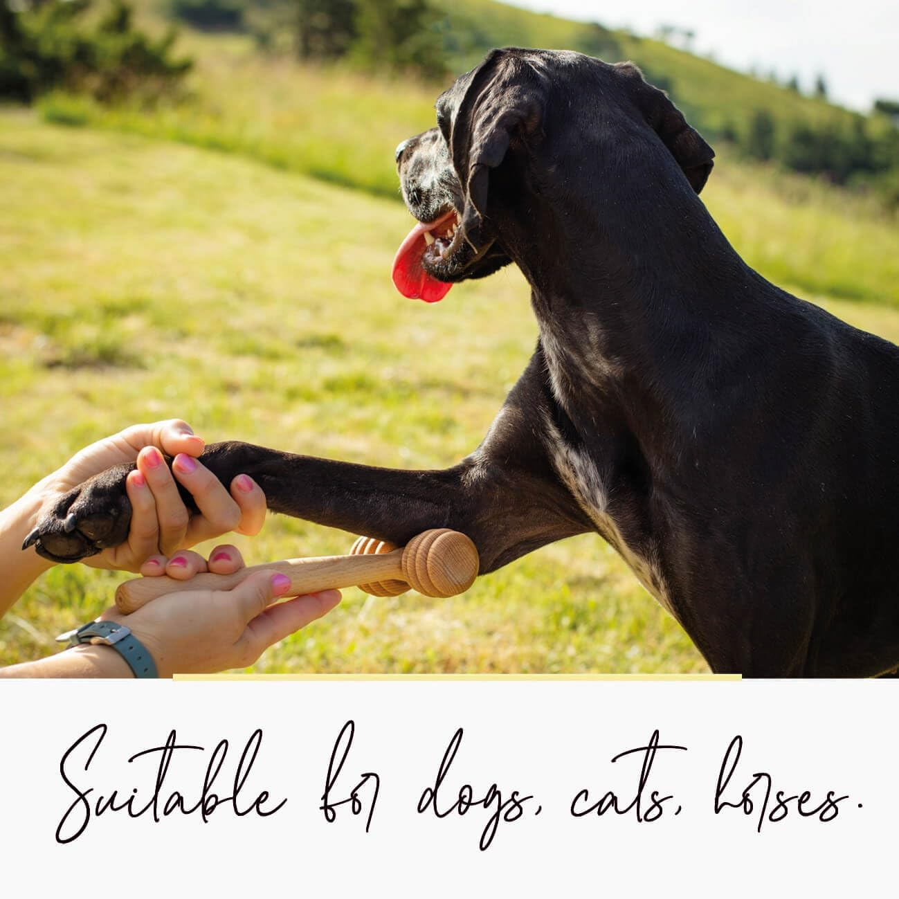 Tuuli Wooden Pet Massager Massager Roller for Dogs, Cats, Horses, Massage Brush, Short or Long Hair image number 2