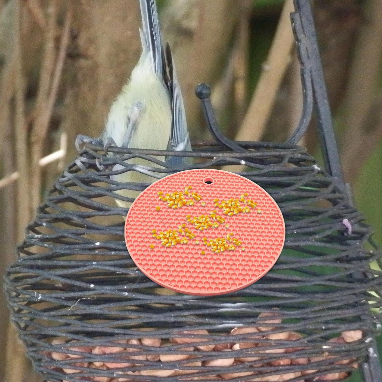 Shurzzesj Slow Feeding Puzzle for Bird,Parrots Slow Feeding Silicone Mat - Pet Parrot Food Slow Eating Mat for African Grey Parrots, Conures and Budgies image number 2