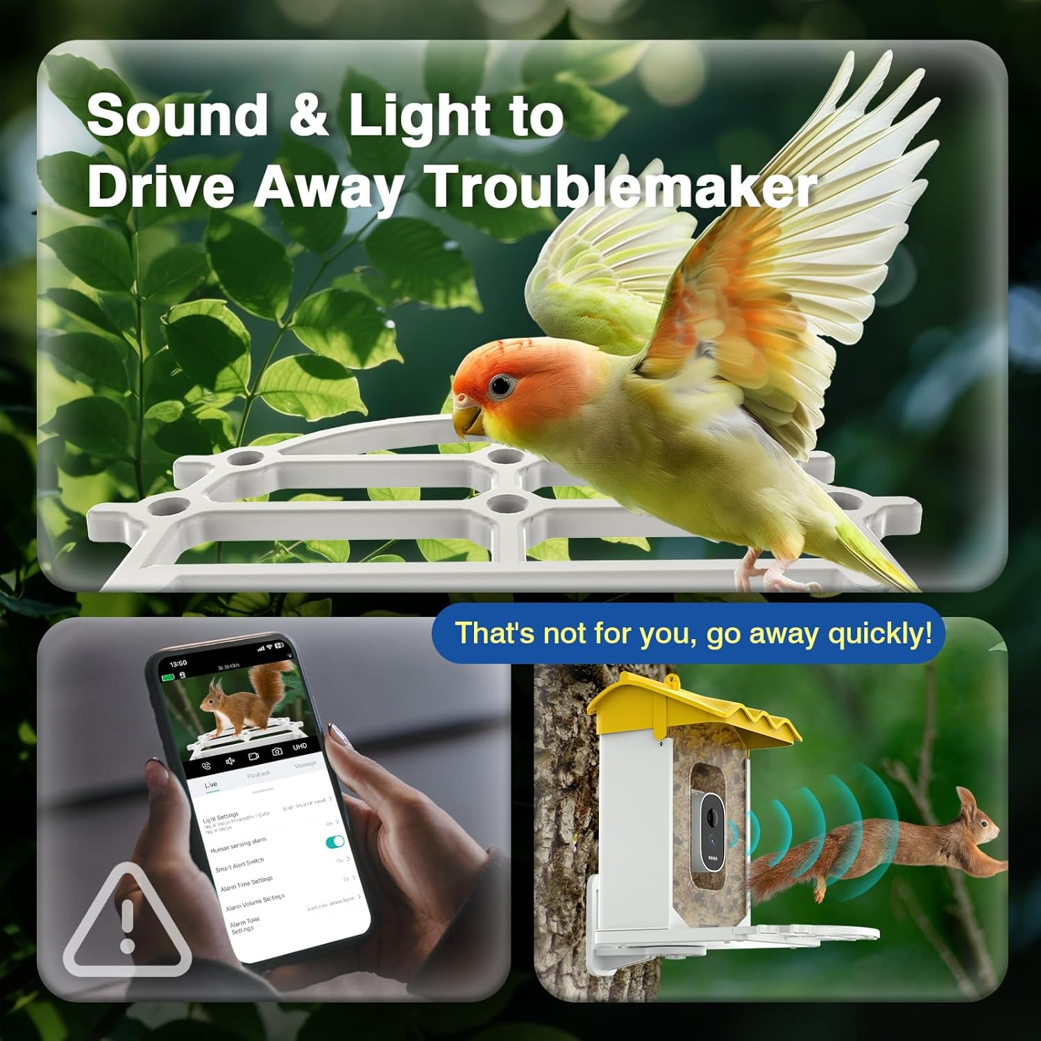 Advwin Smart Bird Feeder with Camera, AI Identify Species Bird Feeders for Outdoors, Solar Powered, 2K Live Video Auto Capture, Instant Notifications image number 4