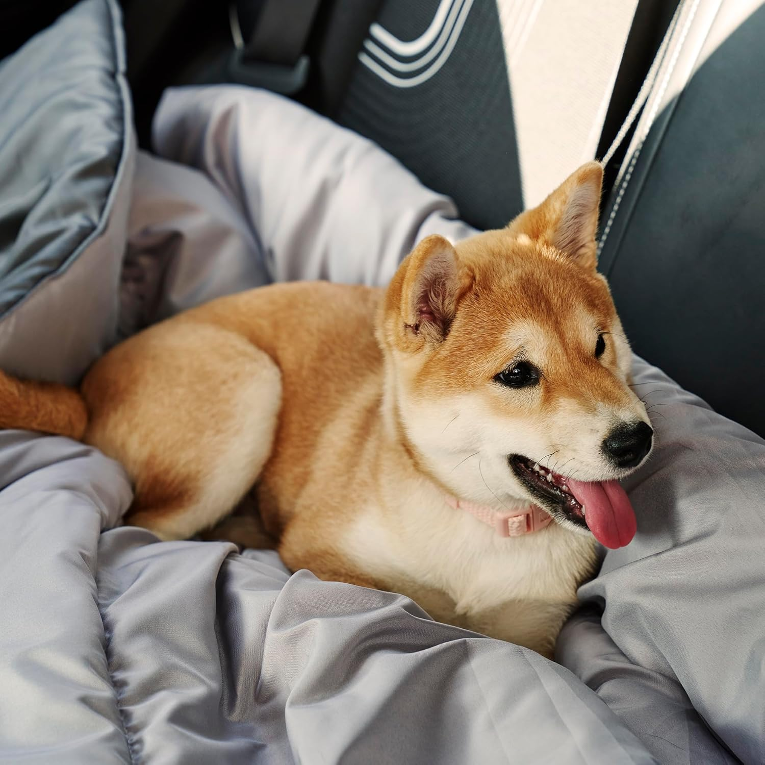 Tontine Doggy Doona&reg;, Quilt/Duvet/Blanket for Dogs Cats Pets, Single Size 140X210Cm, Use on Dog Bed, Couch & Sofa, Floor Mat, Car Seat, Antibacterial Treatment, Machine Washable. Australian Made image number 4