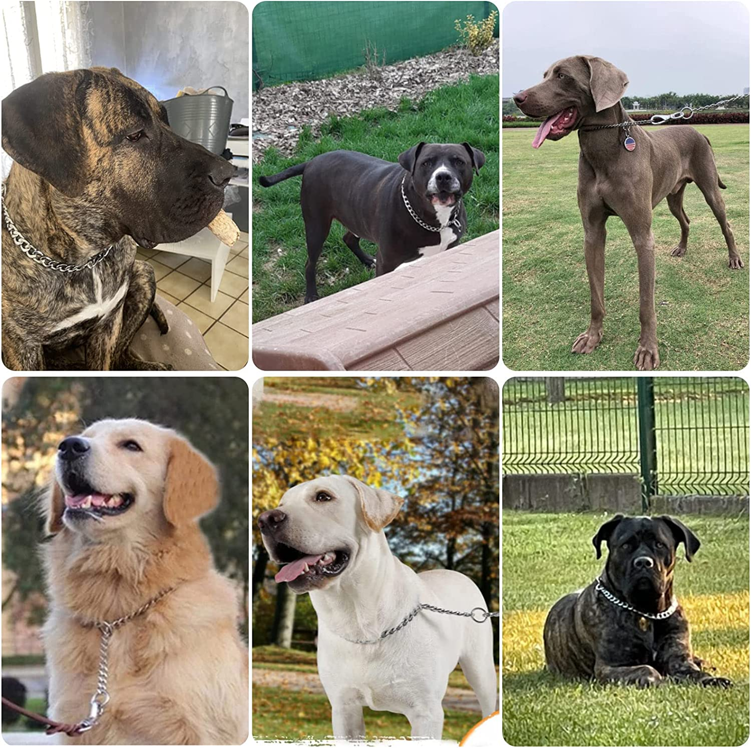 Chain Dog Training Choke Collar, Adjustable Stainless Steel Chain Slip Collar, Strong, Durable, Weather Proof, Tarnish Resistant Metal Chain, Best for Small Medium Large Dogs (S) image number 6