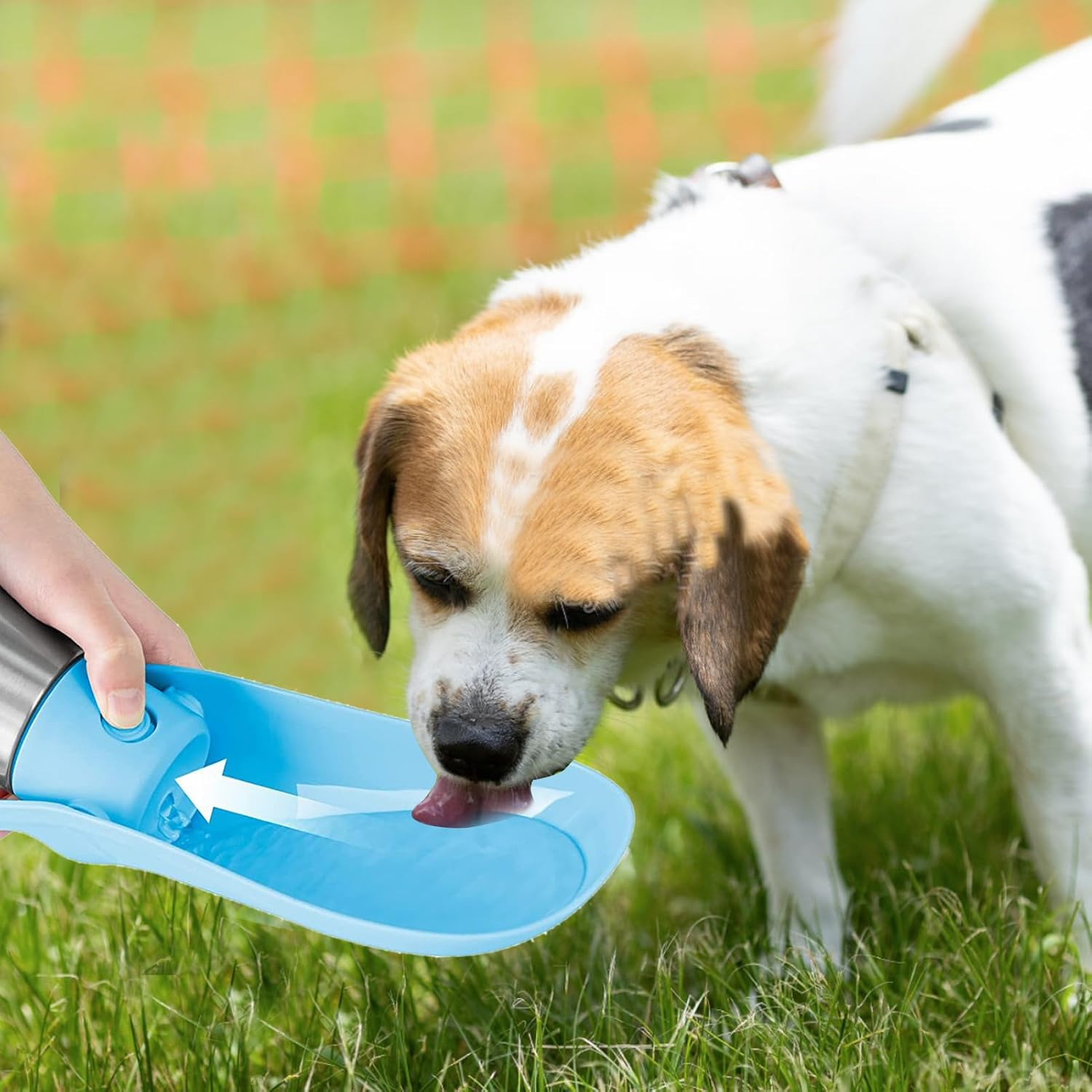 Water Bottle, Dog Bottle, Dog Water Dispenser-Stainless Steel Pet Travel Cup Outdoor Water Bottle Collapsible Dog Water Bowl Grey - Light Green image number 6