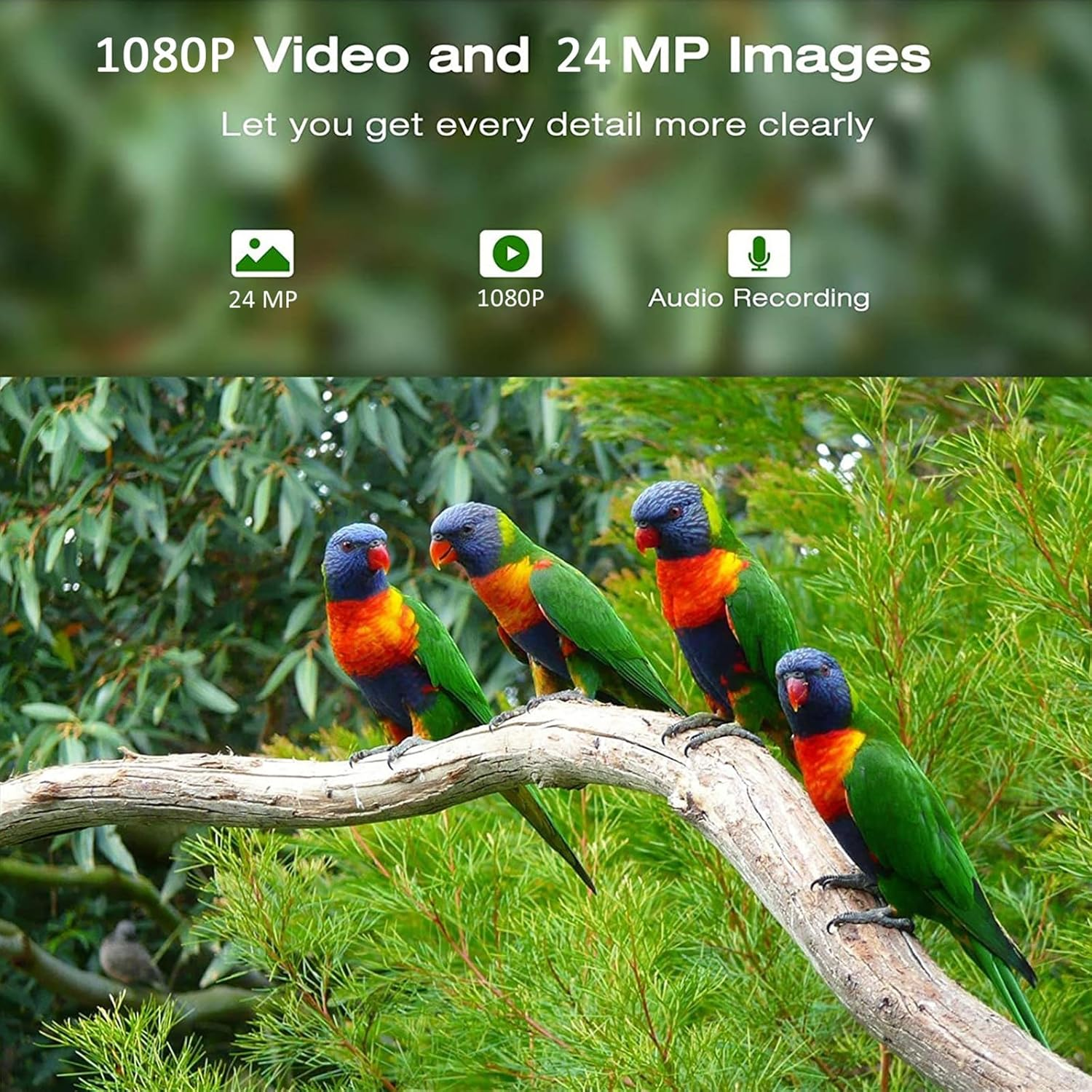 Mingzhe Solar Powered 1080P Wireless Wifi Smart Bird Feeder Camera Waterproof Bird Watching Camera image number 3