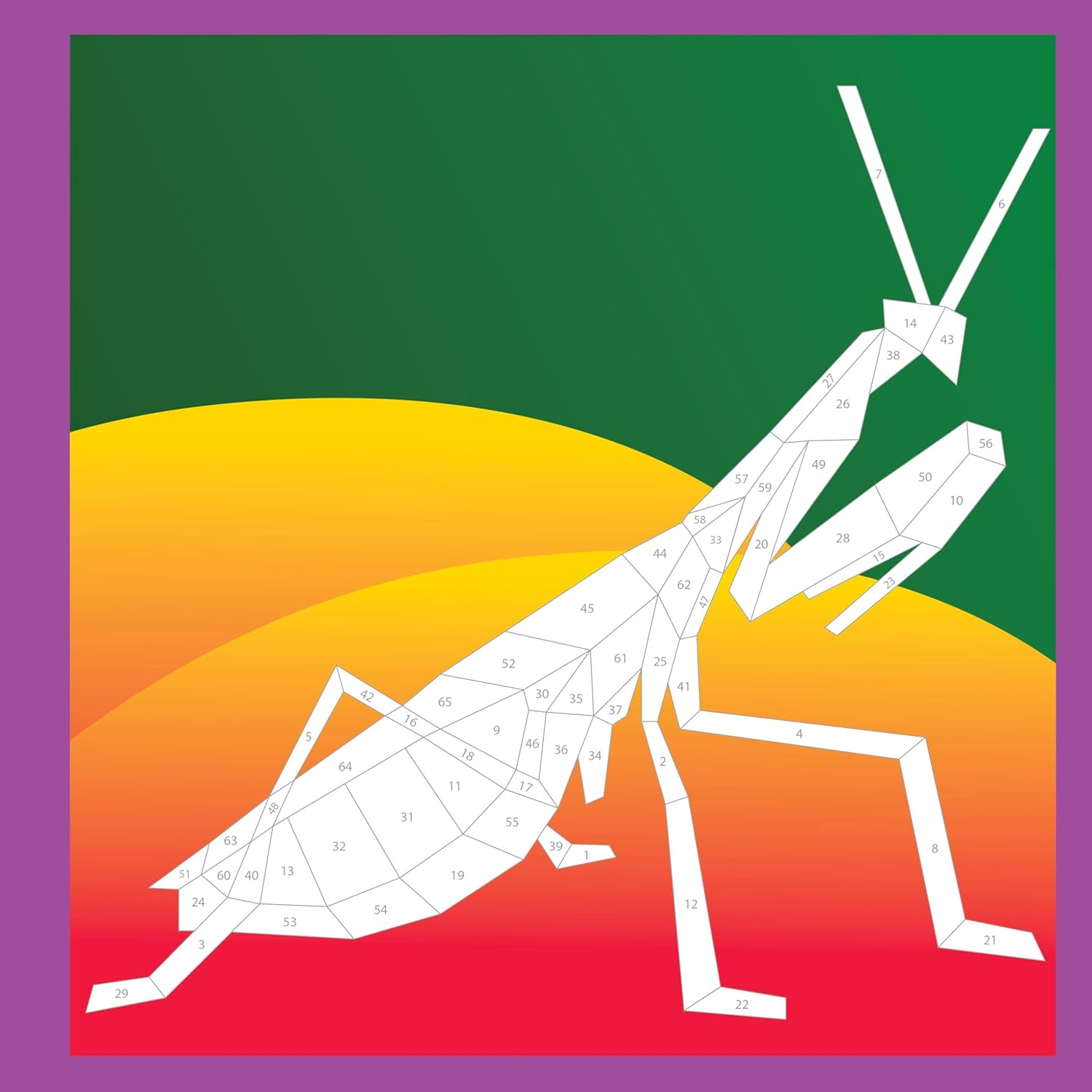 Paint by Sticker Kids: Beautiful Bugs: Create 10 Pictures One Sticker at a Time! (Kids Activity Book, Sticker Art, No Mess Activity, Keep Kids Busy) image number 1