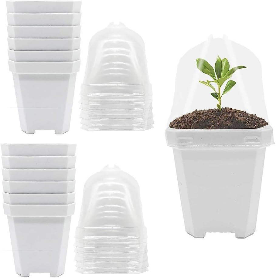 Sagasave 12 Sets Plants Nursery Pot, 15.5Cm Plastic Square Nursery Flower Pots with Humidity Dome and Tray, Small Flower Plant Container for Seedlings, Cuttings, Transplanting (Transparent)