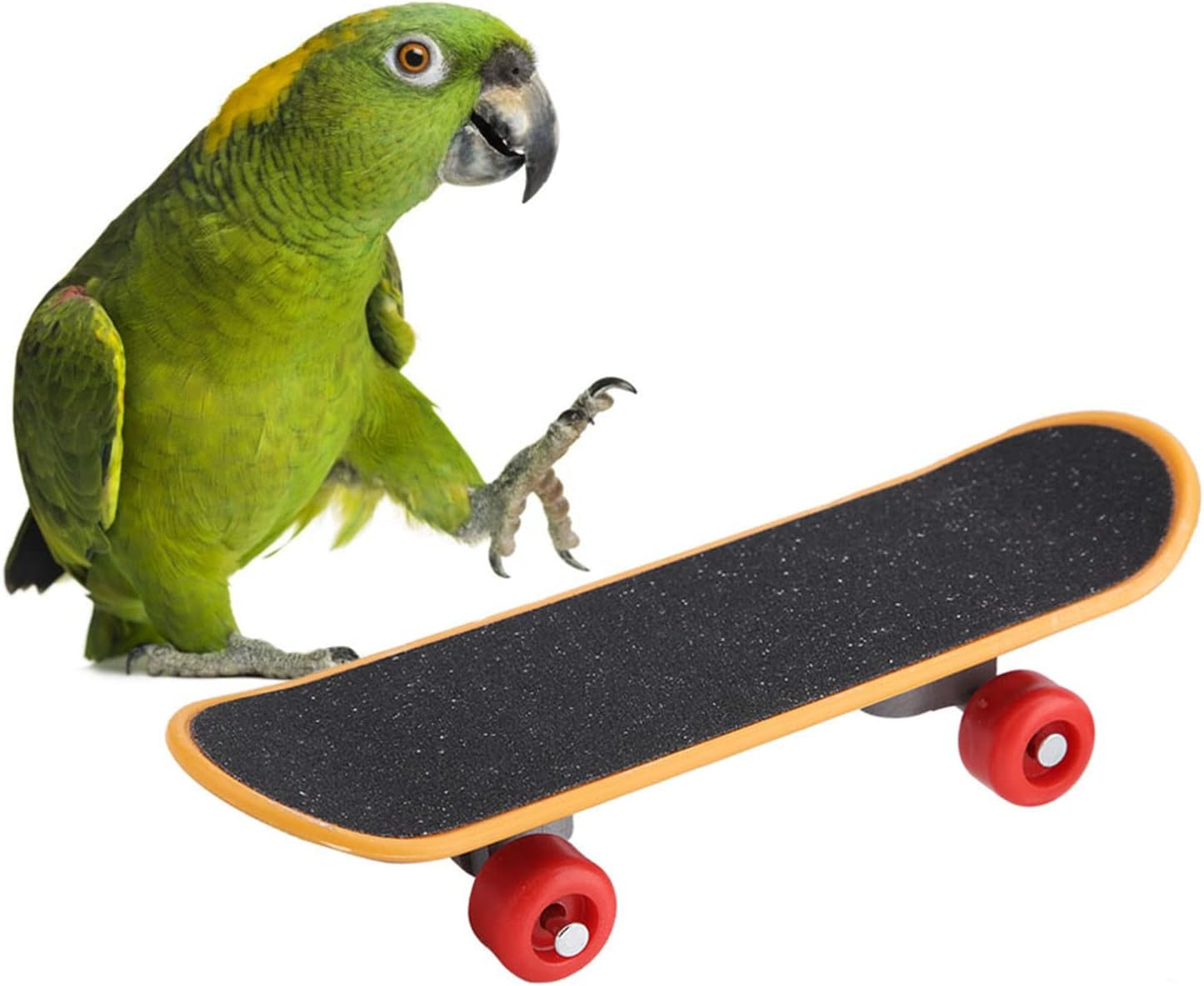 Zerodis Bird Intelligence Toys Training Skateboard Plastic Interactive Play for Budgies Parakeets Cockatiels Lovebirds Conures Small Medium Birds