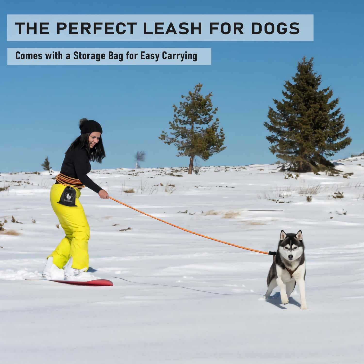 CANDYDOG Recall Lead 10 M for Dogs, without Handle, with 2 Climbing Carabiners, Suitable for Small to Large Dogs, Orange - Classic Dog Leads and Lead Ropes image number 2