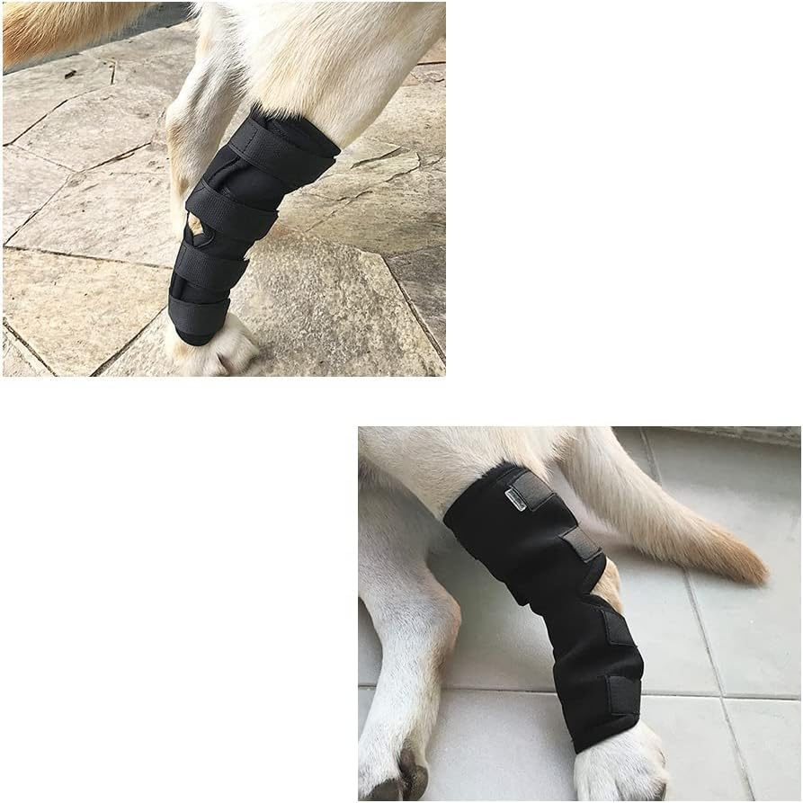 ZUJIACUN Dog Injury Prevention Rear Ankle Support with Knee Support for Dogs, Adjustable Pet Leg Support Compression Pack Recovery Dog Support Protects Leg Wound Injuries for Pain Relief (L) image number 4