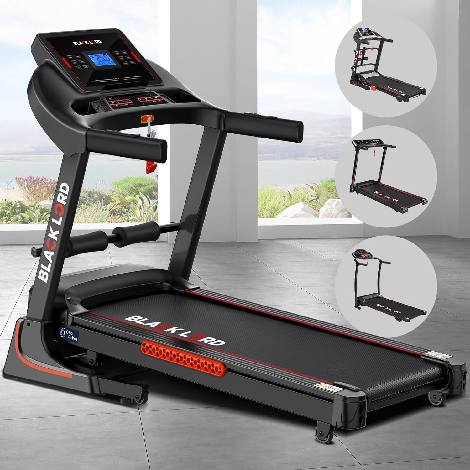 BLACK LORD Treadmill Electric Running Machine Workout Exercise 2.2/2.4/3.0/3.2/3.5/4.0/5.2HP Fitness Equipment Walking Jogging Trainer for Home Gym Office Commercial Series