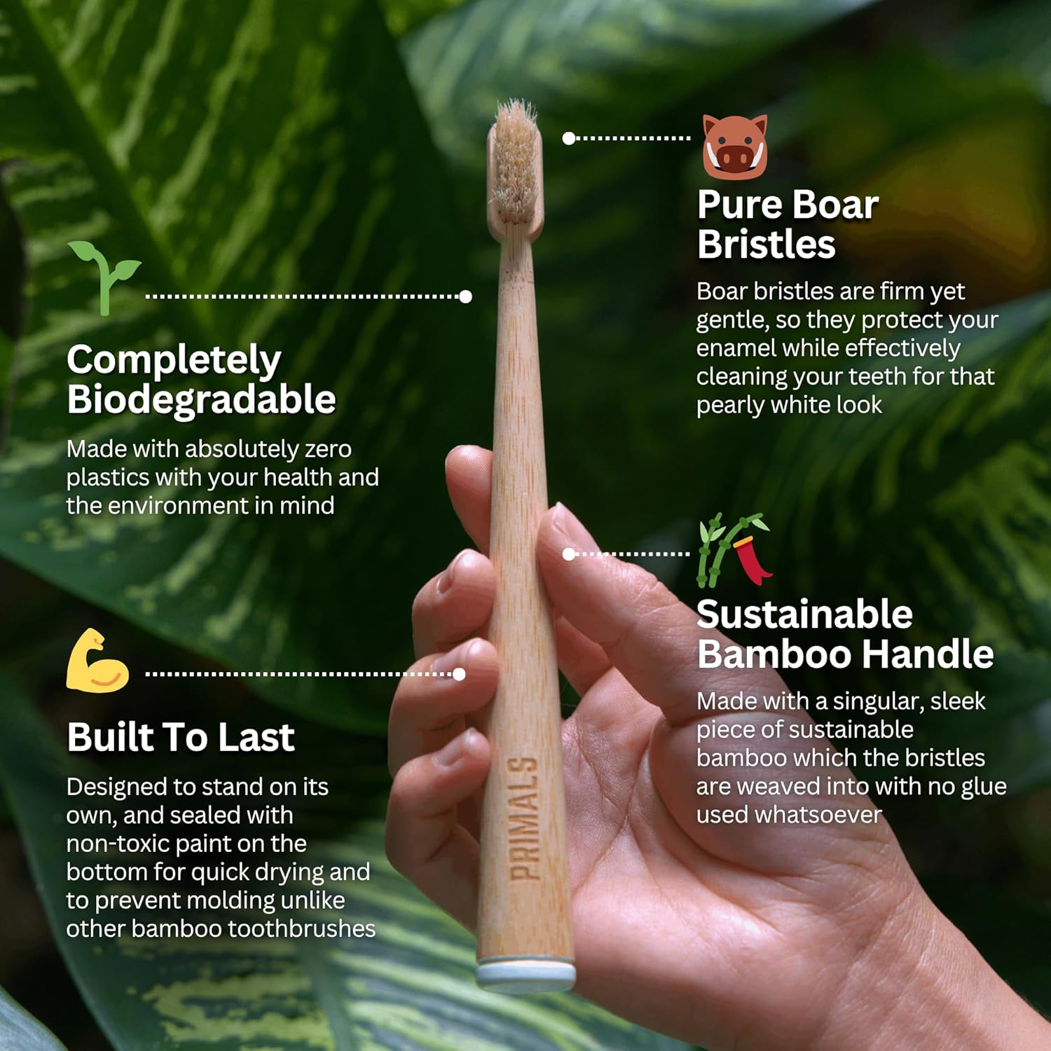 PRIMALS Boar Bristle & Bamboo Toothbrush (4-Pack) - 100% Real Boar Bristles - Plastic & Nylon Free image number 4