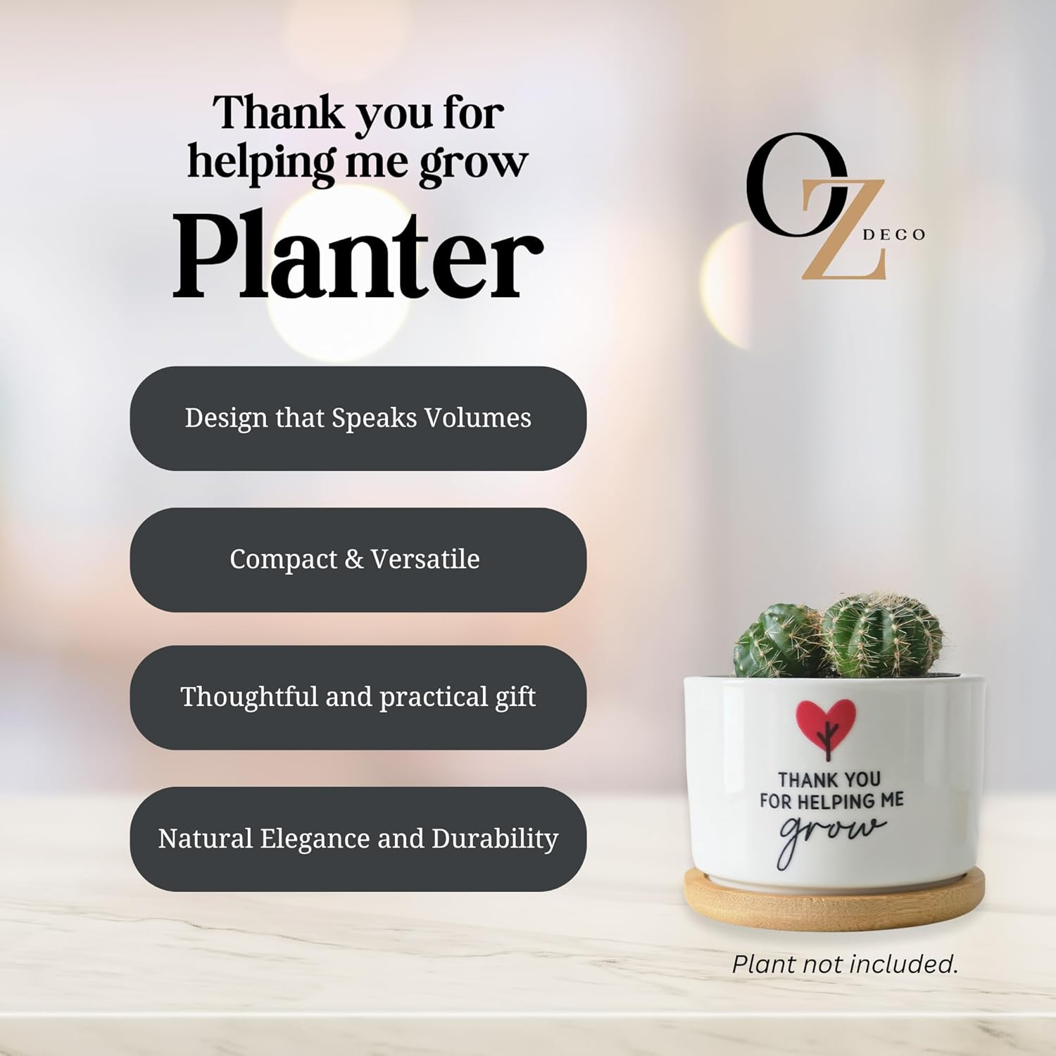 Ceramic Planter Pot with Bamboo Saucer, Thank You for Helping Me Grow Heart Design, Ideal for Succulents, Cacti, and Mini Plants, Teacher Gift image number 2