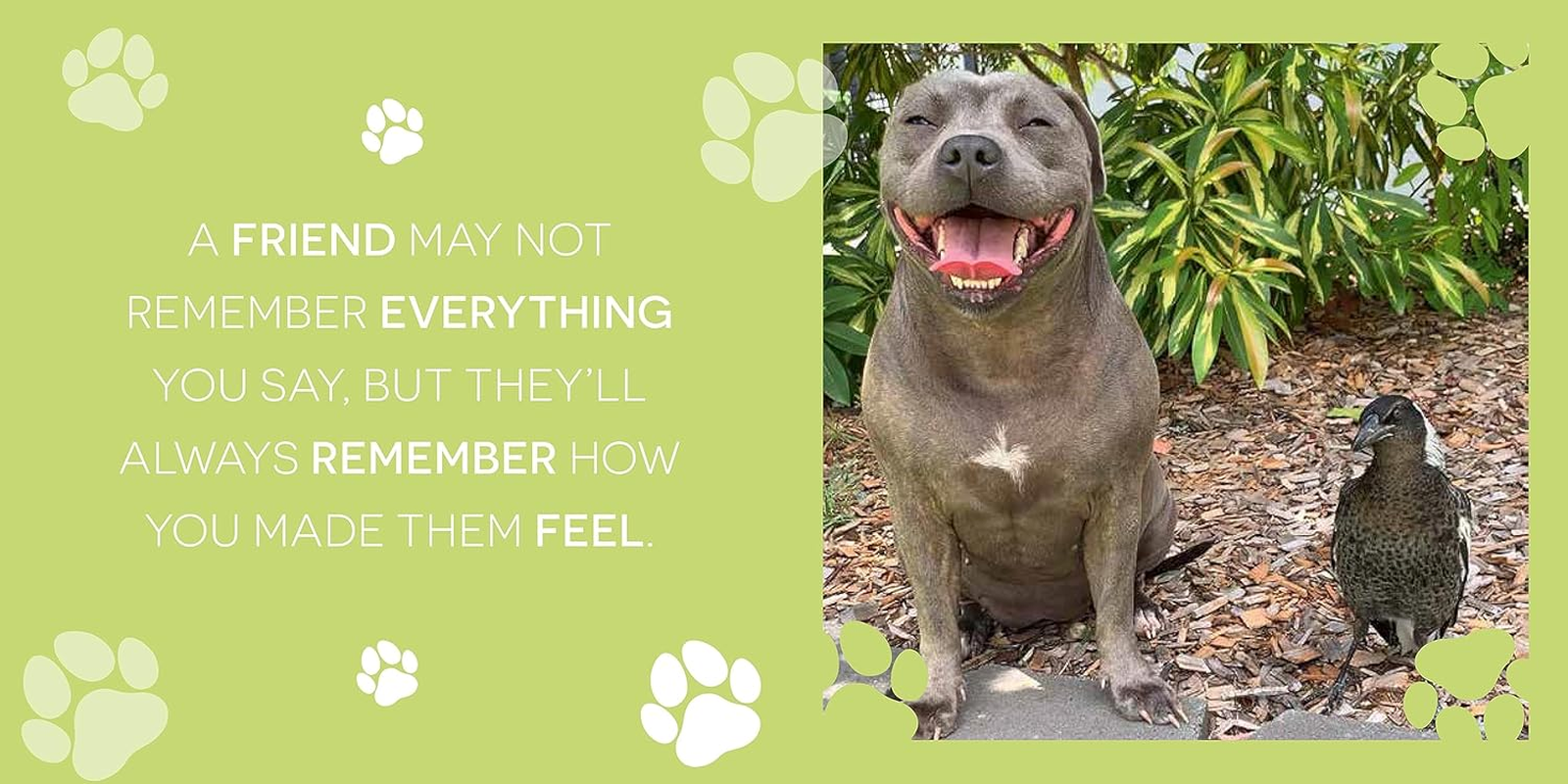 Peggy and Molly: Be Kind, Be Humble, Be Happy image number 3