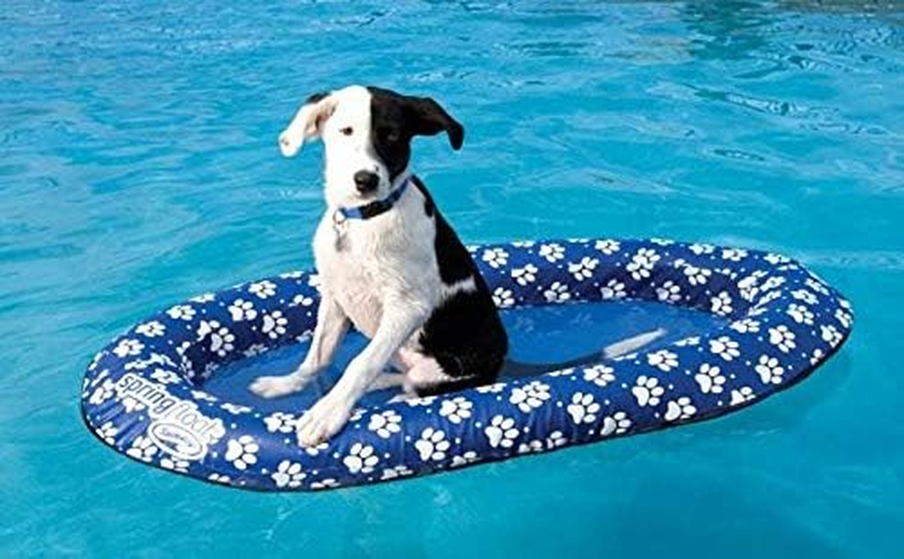 Swimways Spring Float Paddle Paws Dog Pool Float - Small (0-65 Lbs), Blue