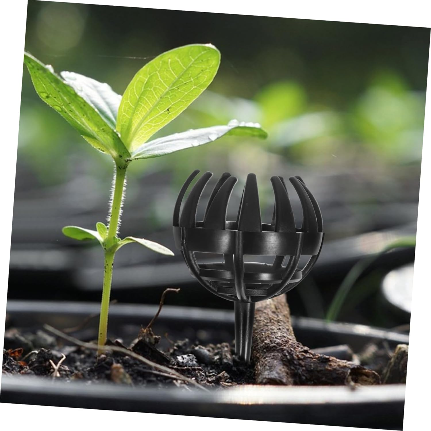 ANDRESLAD 20Pcs Planting Fertilizer Holders Gardening Containers for Bonsai Garden Supply for -Term Use and Replacement image number 6