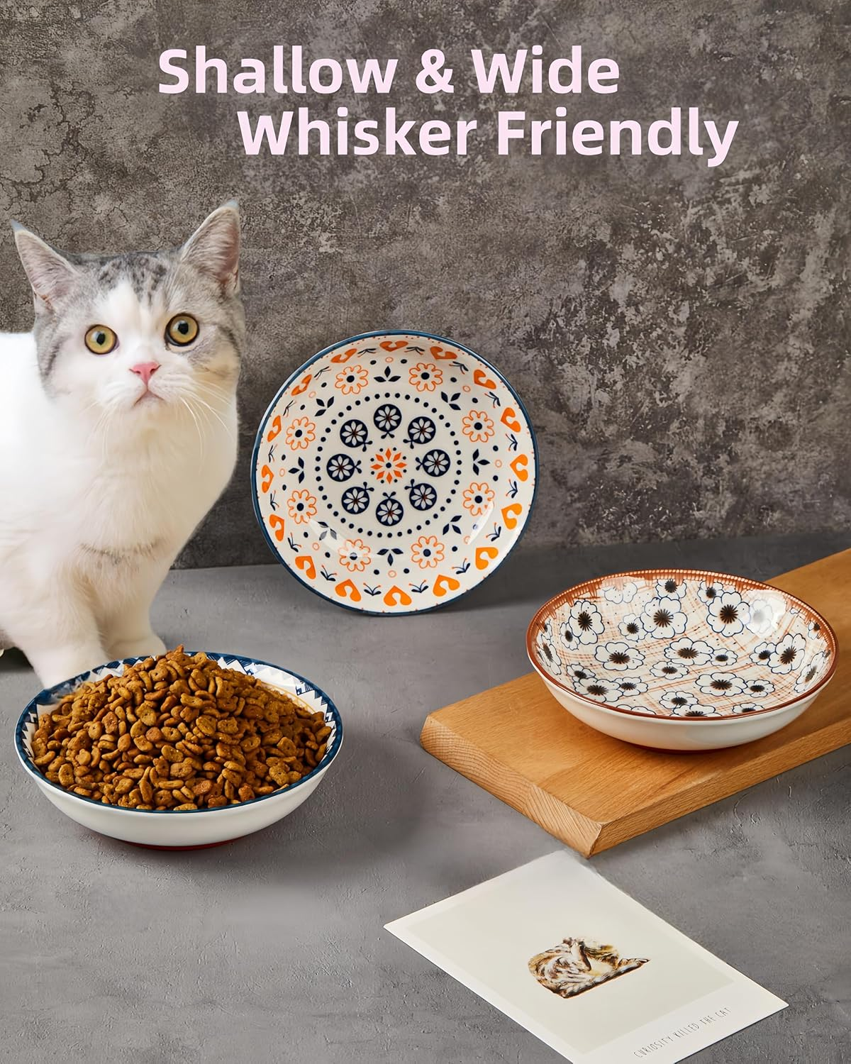 3 Pack Non-Slip Cat Food Bowl, No Spill Ceramic Cat Bowls, anti Whisker Fatigue Cats Dish Set for Indoor Cats, Shallow Wide Kitten Dishes for Food, Boho Kitten Bowls with Silicone Bottom image number 2
