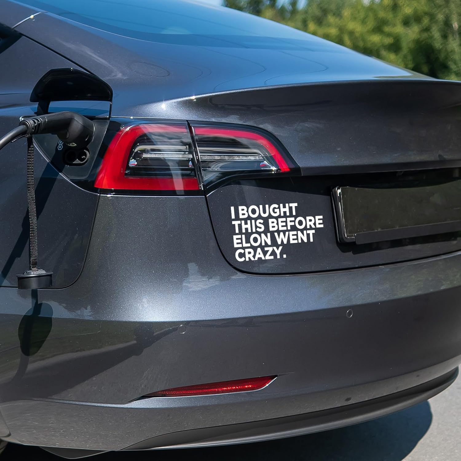 3Pcs Anti-Elon Bumper Stickers, Funny Vinyl Bumper Stickers I Bought This before We Knew Elon Was Crazy Bumper Sticker for Car Bumper Window Decorative Sticker image number 2