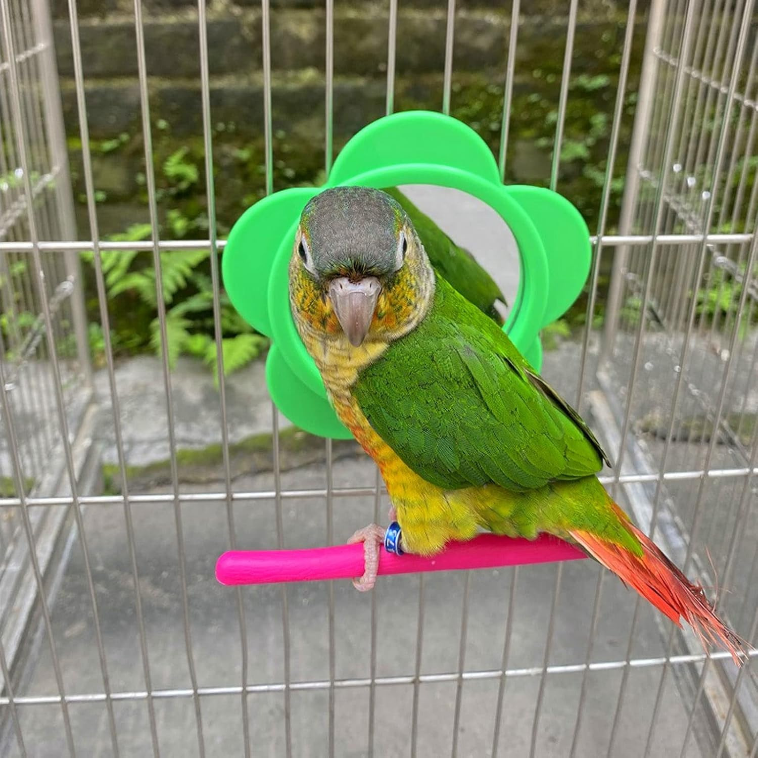 RASTKY Mirror Flower Shape Decorative Plastic Mirror Stand Toy Budgie Lovebird Cockatiel - Pet Supplies/Birds/Toys image number 3