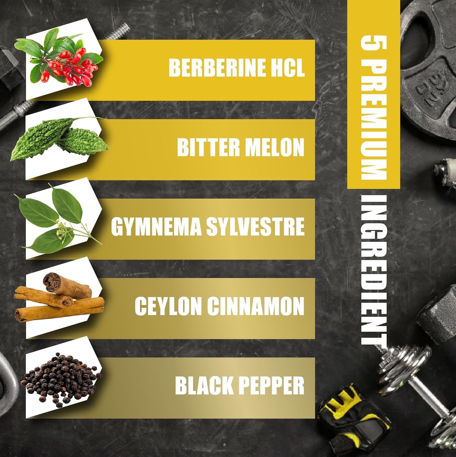 Berberine Hcl Supplement with Ceylon Cinnamon, Bitter Melon, Gymnema Sylvestre Extract - 90 Capsules image number 3