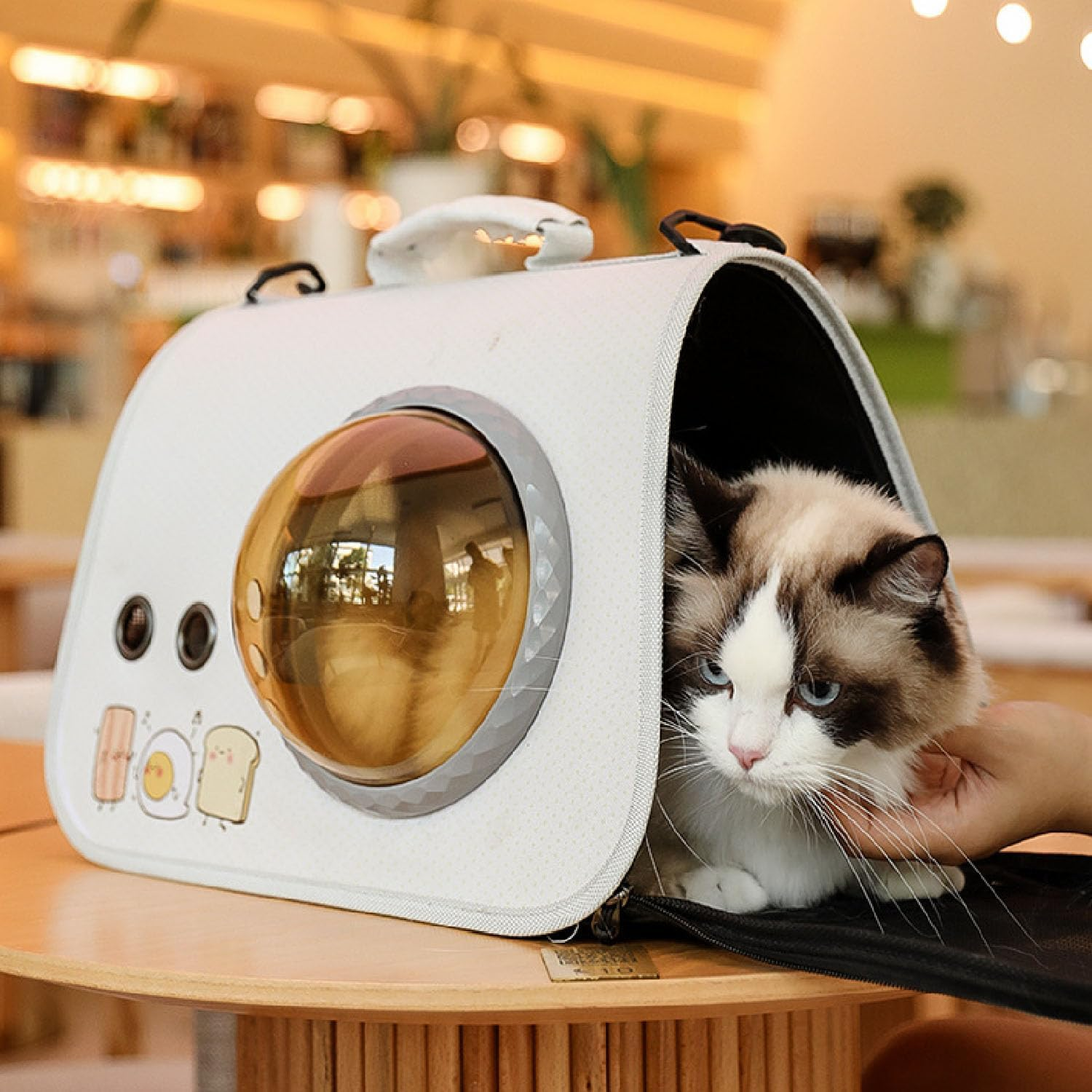 Cat Carrier Backpack with Shoulder Strap, Pet Carrier Backpack for Small Medium Cat Puppy Doggie, Space Capsule Transparent Pet Backpack, Waterproof Handbag Backpack for Travel, Walking and Outdoor image number 2