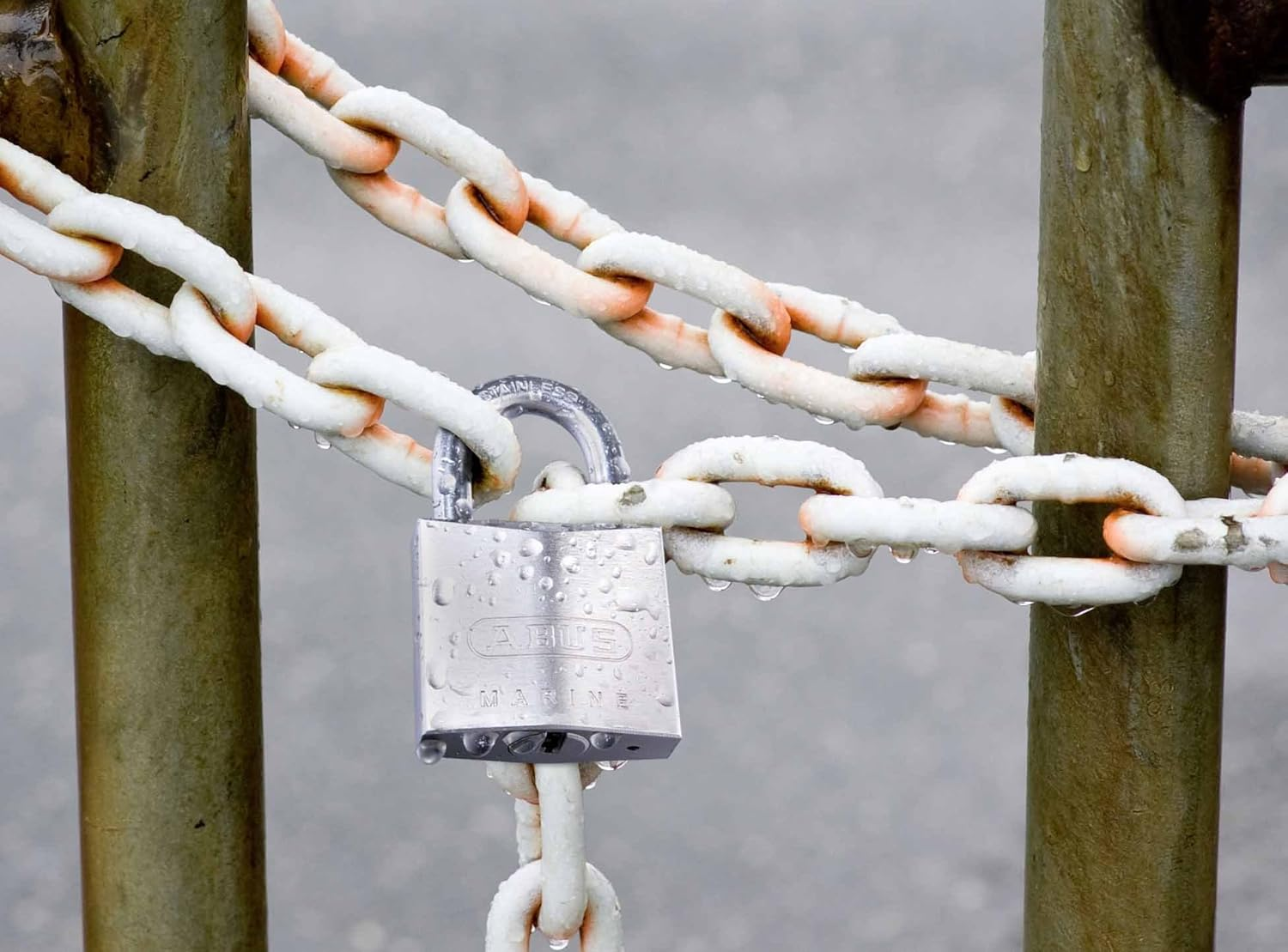 ABUS Marine Padlock 75IB/30 Gl.-7342 - Weatherproof - Brass Lock Body with Nickel Pearl Coating - ABUS Security Level 5 - Silver