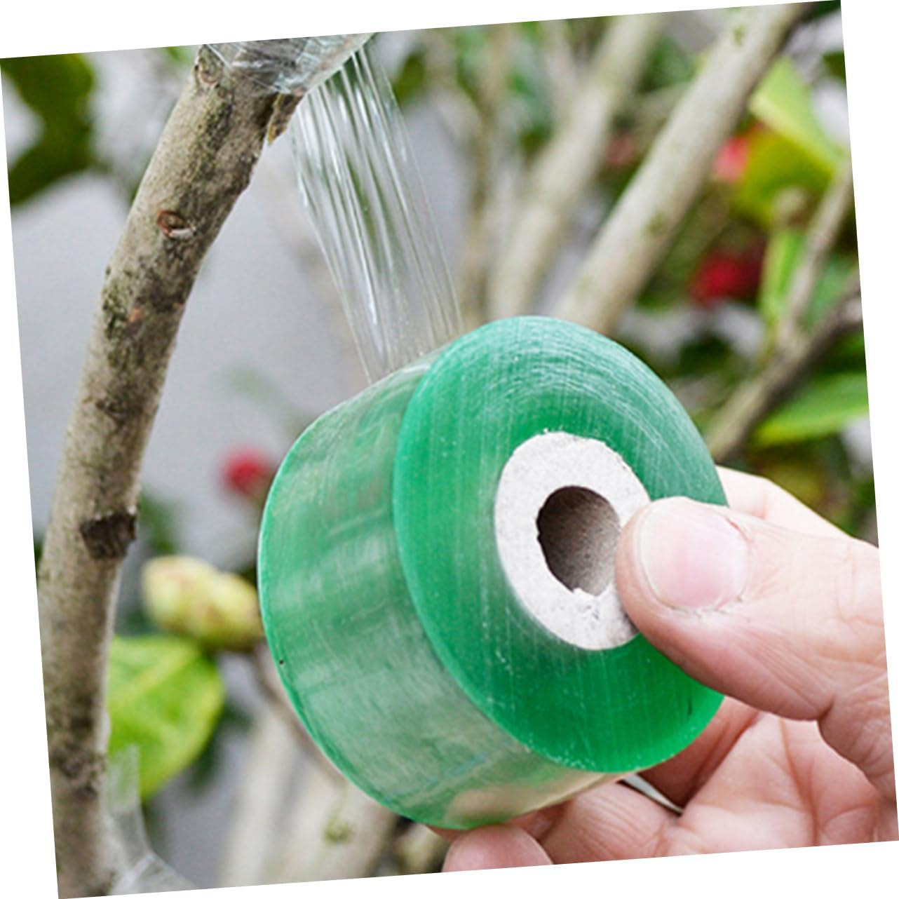SUPVOX Grafting Tape and Plant Repair Tape for Gardening Use, 4 Rolls of 100Cm Stretchable Self-Adhesive Budding Film 2Cm Width, Suitable for Fruit Trees and Plant Grafting Accessories
