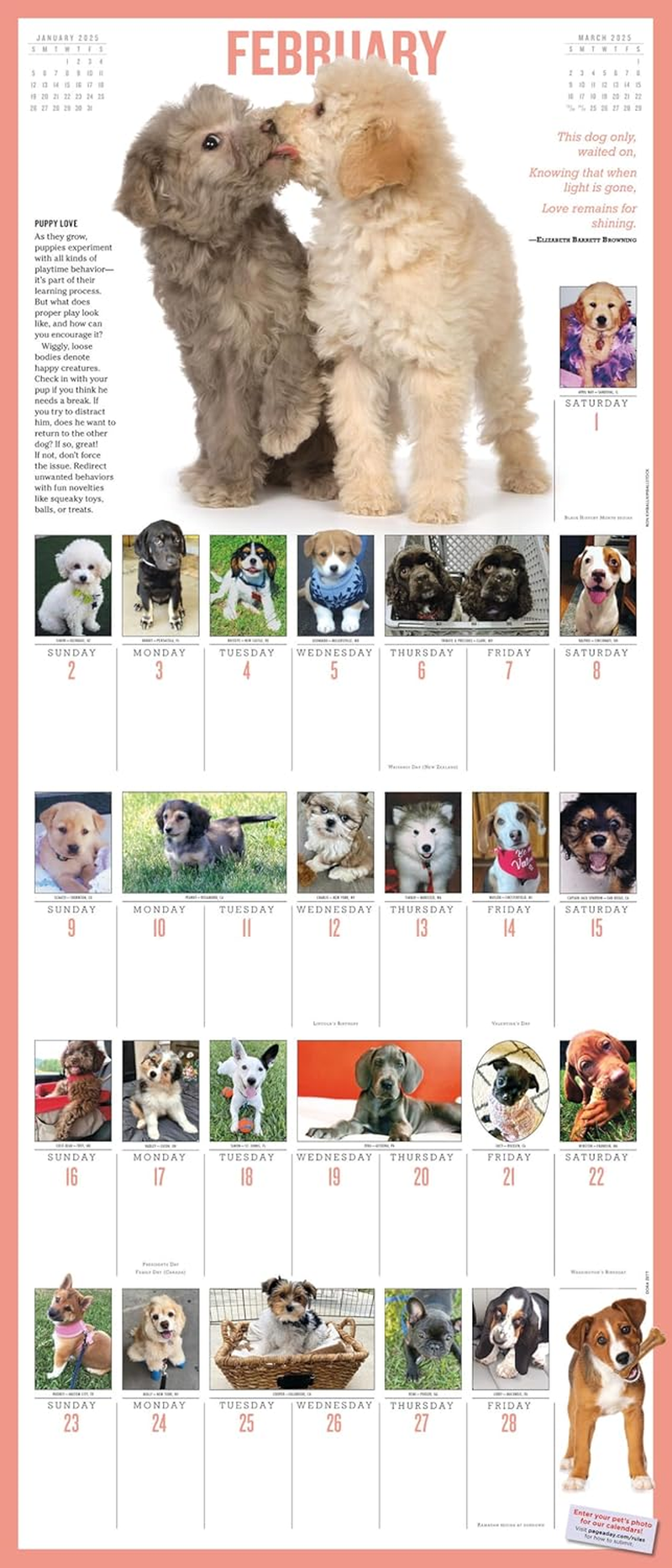 365 Puppies-A-Year Picture-A-Day Wall Calendar 2025 image number 3