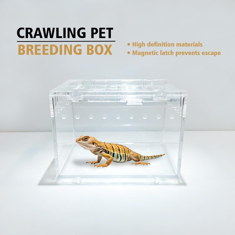 Transparent Reptile Pet Box10 X 8 X 7&middot;5 Cm image number 5