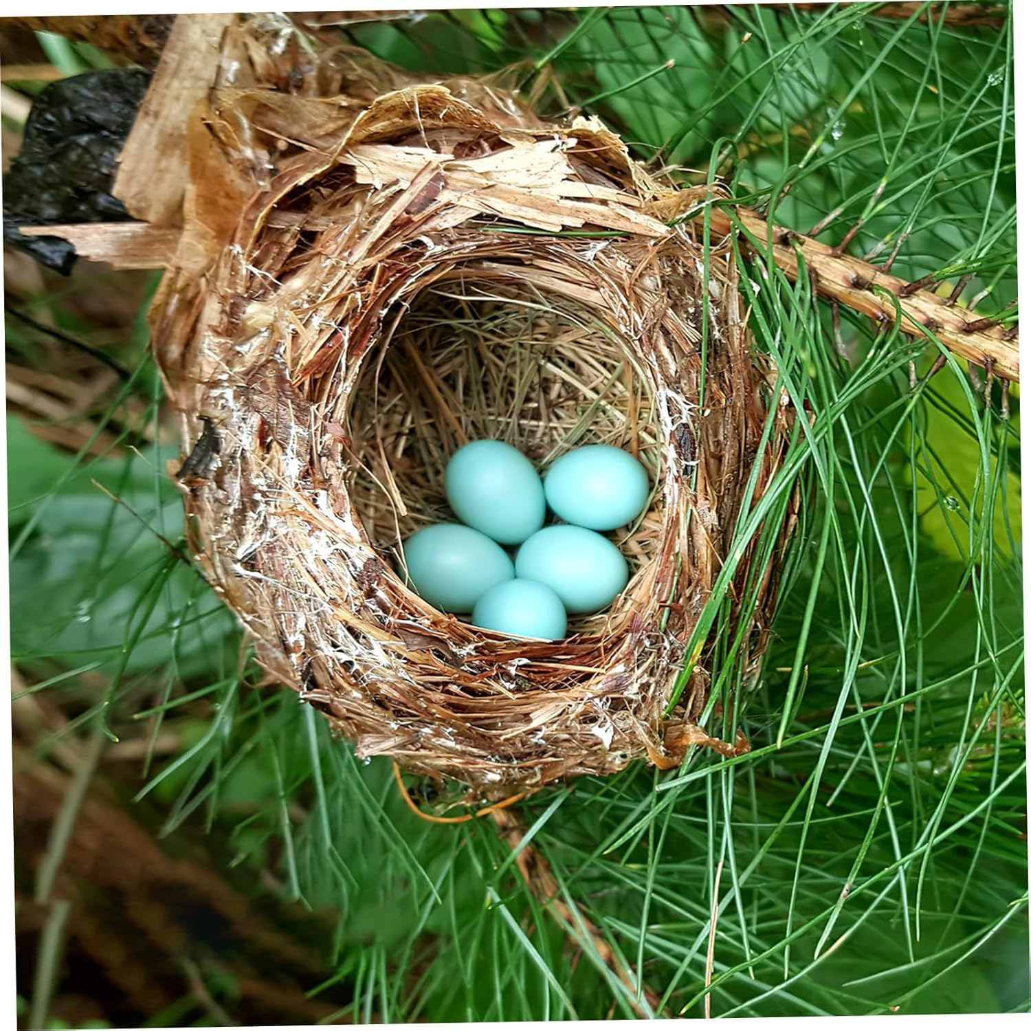 JOINPAYA 10Pcs Realistic Fake Bird Eggs for Cockatiel Breeding Training Solid Weight Imitation Naturalistic Design Proper for Home Decor and Bird Care image number 5