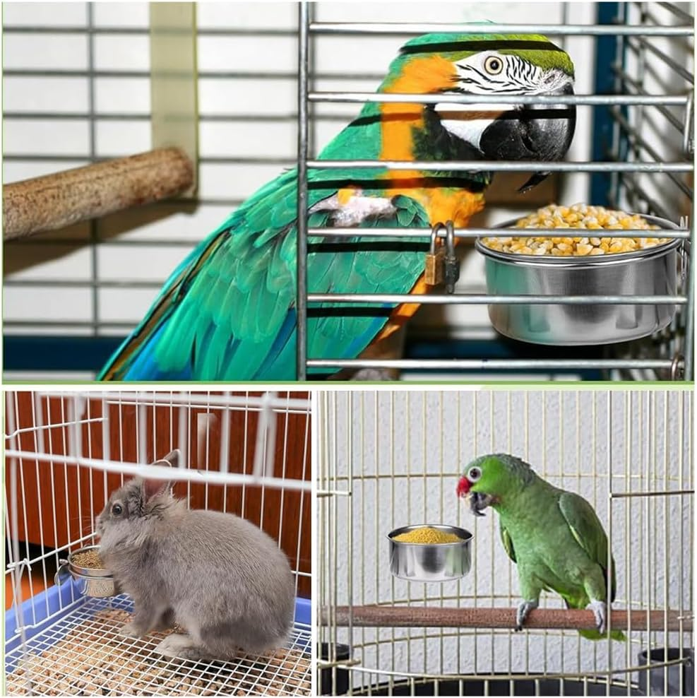 Granmagazz Parrot Feeder, 4Pcspet Feeder, Bird Feeder for Cage, Parrot Feeding Cups Birds Food Dish 2 Pcs Perches,10X 4.5 Cm, Stainless Steel Parrot Feeders Water,For Parrot Parakeet Lovebird image number 3