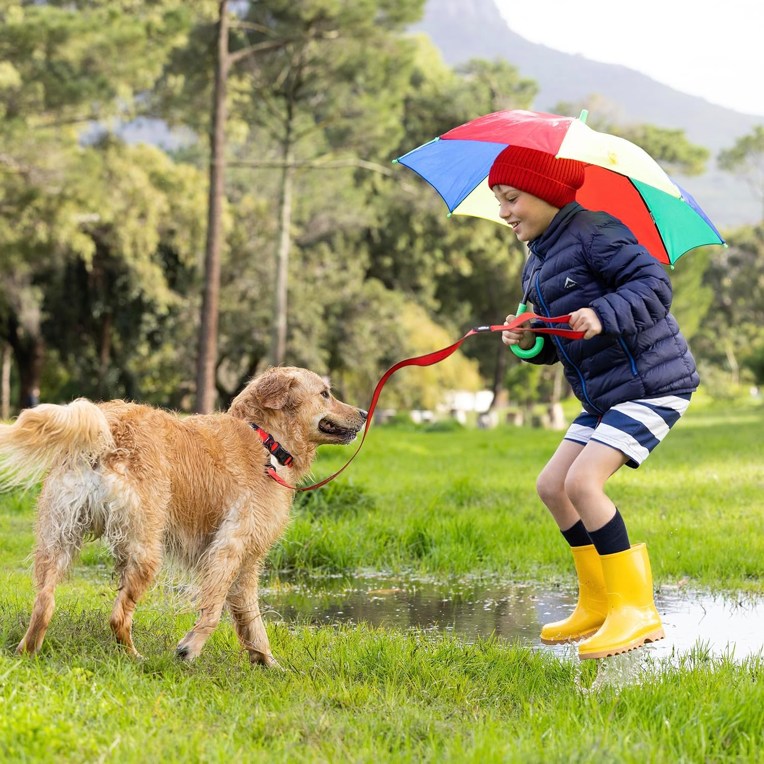 Rogz Amphibian Classic Dog Lead, Red, Large image number 3