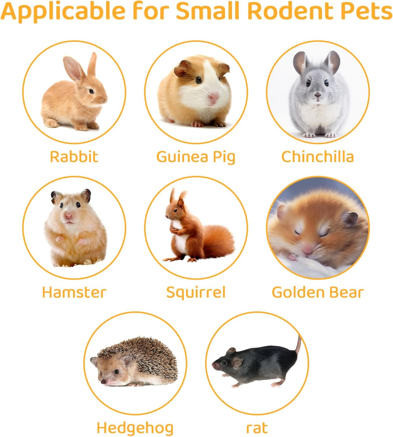 600G Apple Sticks Small Animals Wooden Pet Chew Treats Toys for Guinea Pigs Hamsters Rabbits Chinchillas Squirrels Small Animal Molar Wood Treats Toys image number 4