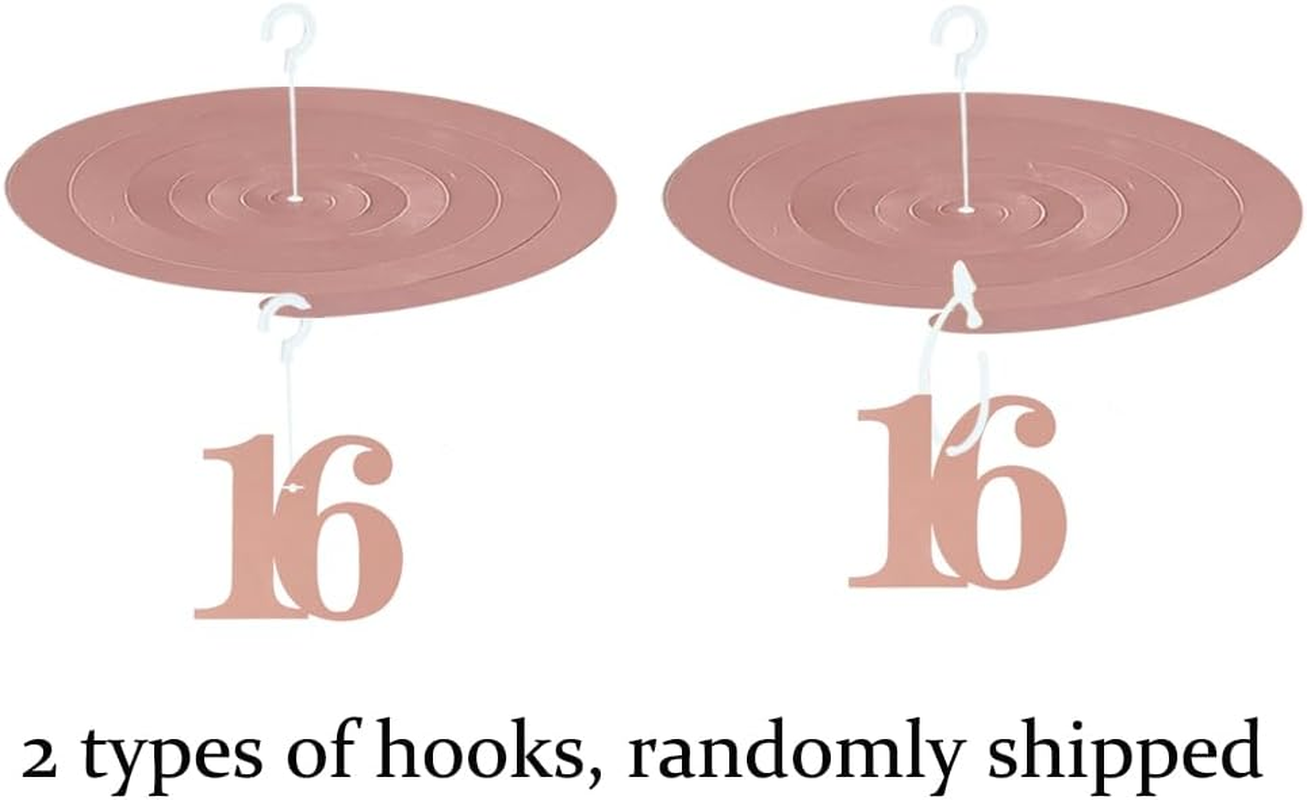 Happy 16Th Birthday Party Supplies for Women Girls,Rose Gold Happy 16Th Birthday Banner Bunting,Triangle Banner Flag Sash Hanging Swirls Streamers for Women Birthday Party Decoration (16Th)