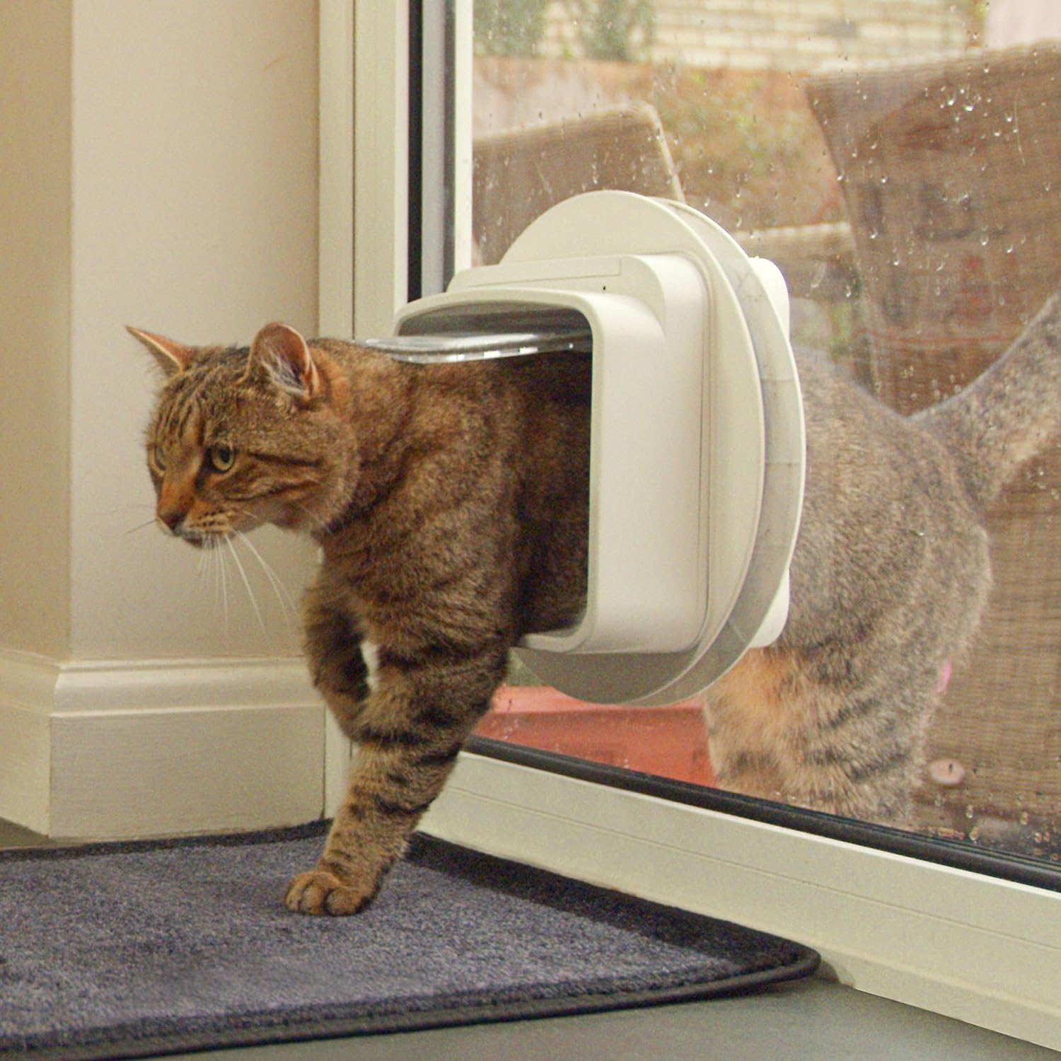 Sureflap Dual Scan Microchip Cat Door image number 2