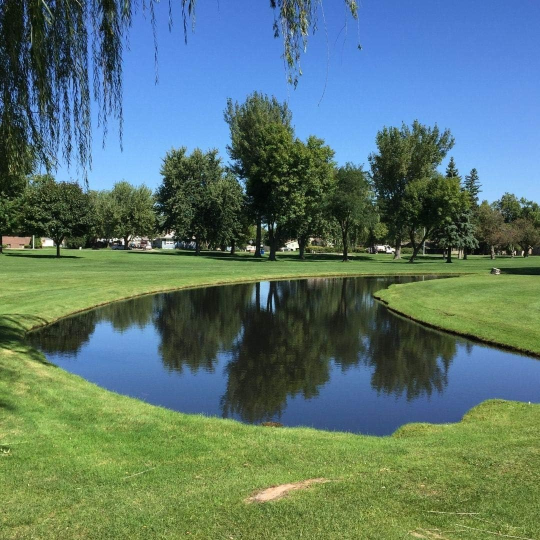 Healthy Ponds 52015 Pond Water Colorant Blue Pourable Granules 17.6 Ounces Treats up to 1.7 Million Gallons image number 4