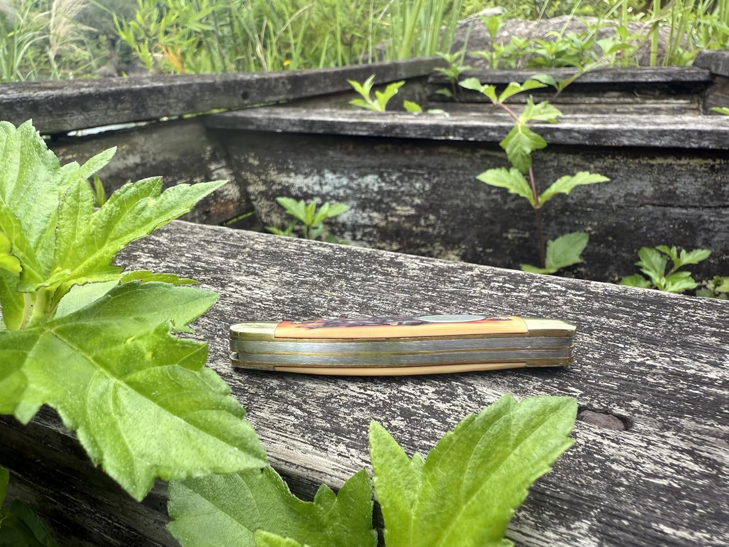 Dxzephious 440 Stainless Steel Folding Pocket Knife Outdoors Manual Knife,8.9Cm Overall,6Cm Stainless Steel Blades,Hunting,Camping image number 6