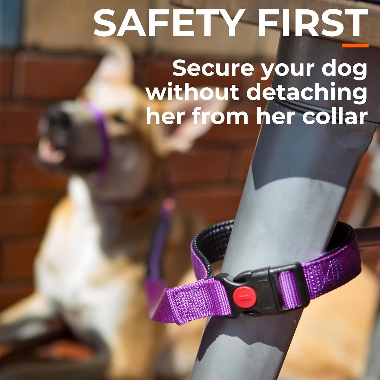 Canny Connect Dog Lead - Lead with Soft Padded Handles, Padded Grip and a Secure Clip. Secure Your Dog without Needing to Remove the Lead image number 4