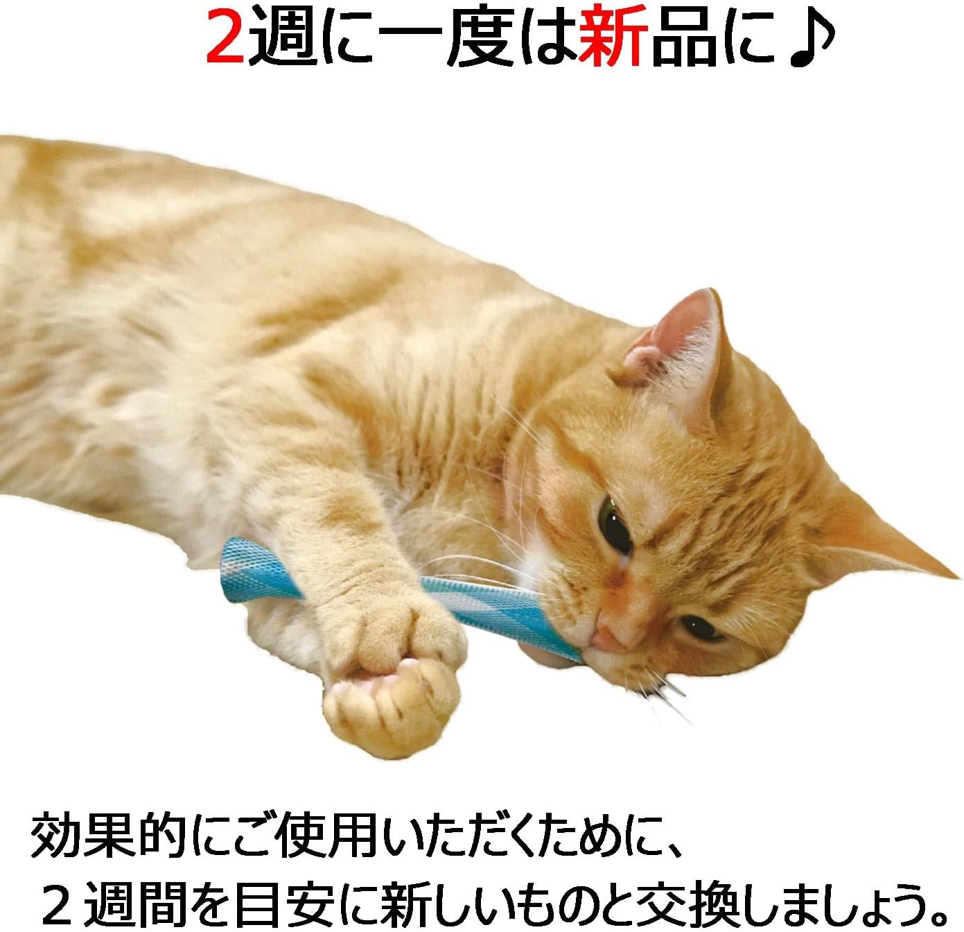 Cat Toothbrush, Bite Teeth Pika, Set of 3 image number 5