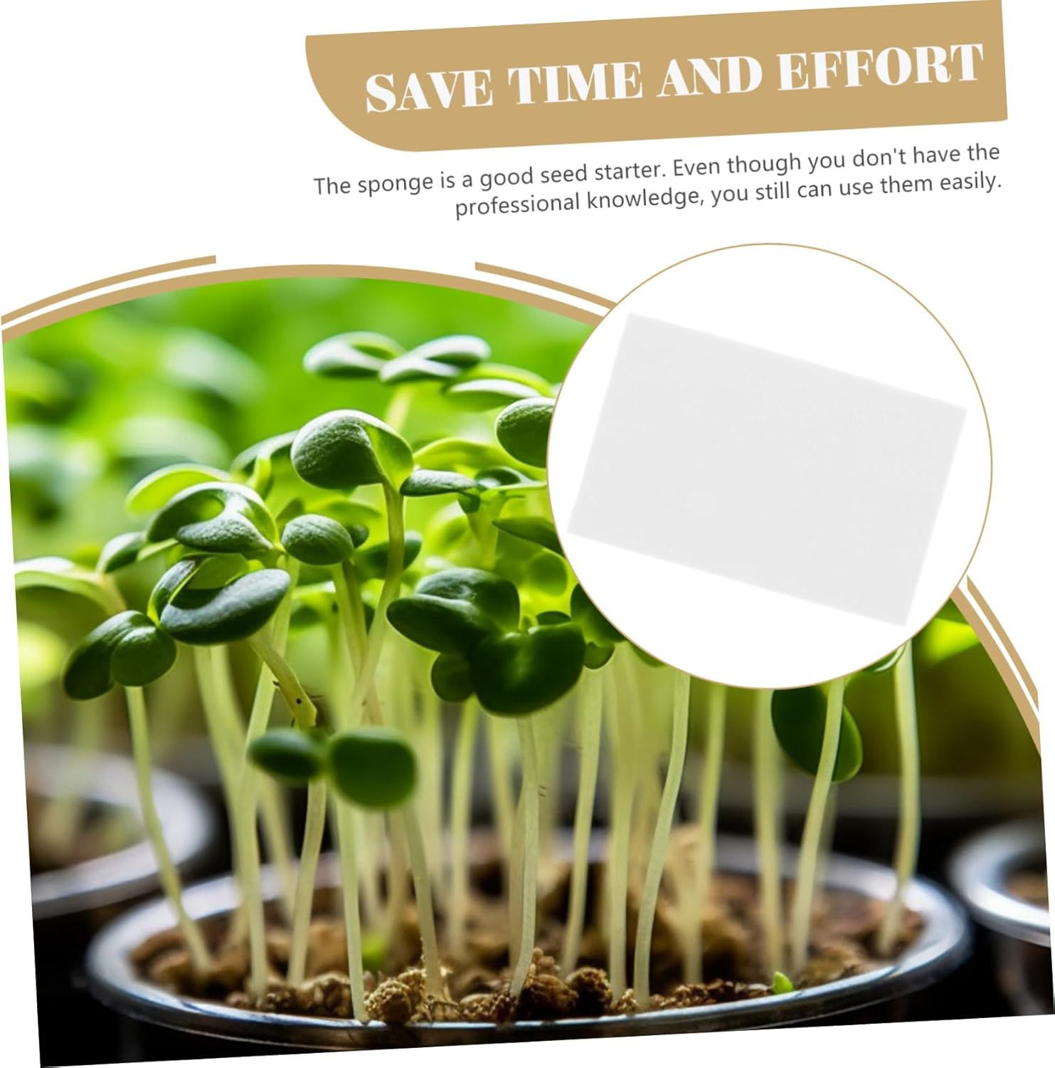 Kisangel Hydroponic Sponge Block Grow for Hydroponics Plant Accessories image number 2