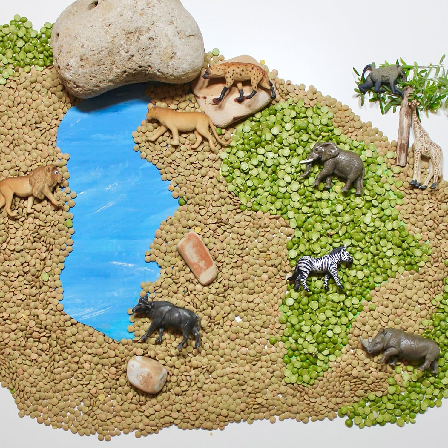 Safari Ltd South African Animals image number 5