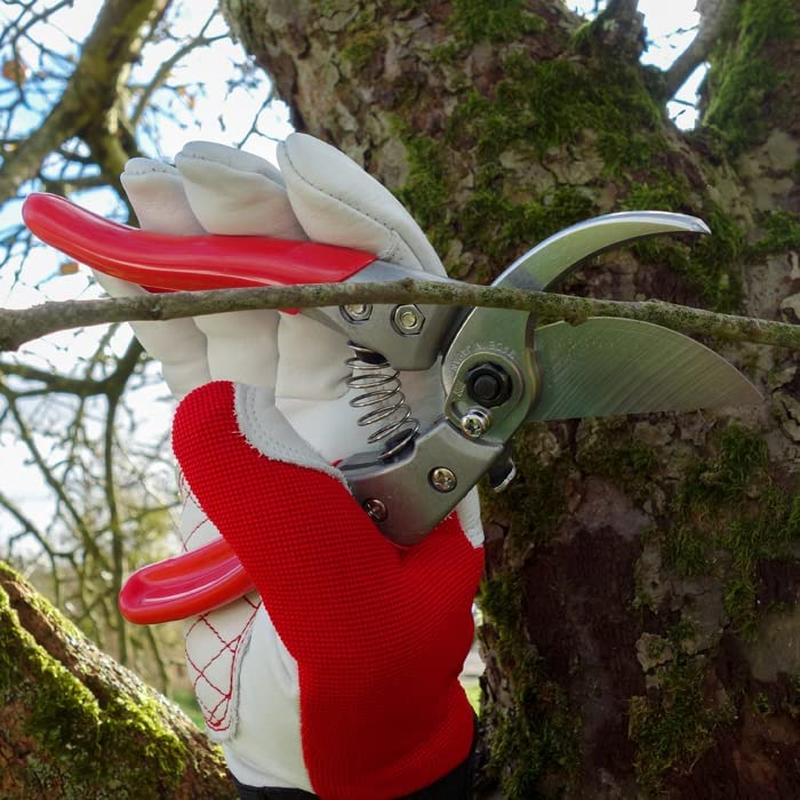 ARS HP-VS8Z Signature Heavy Duty Pruner image number 2