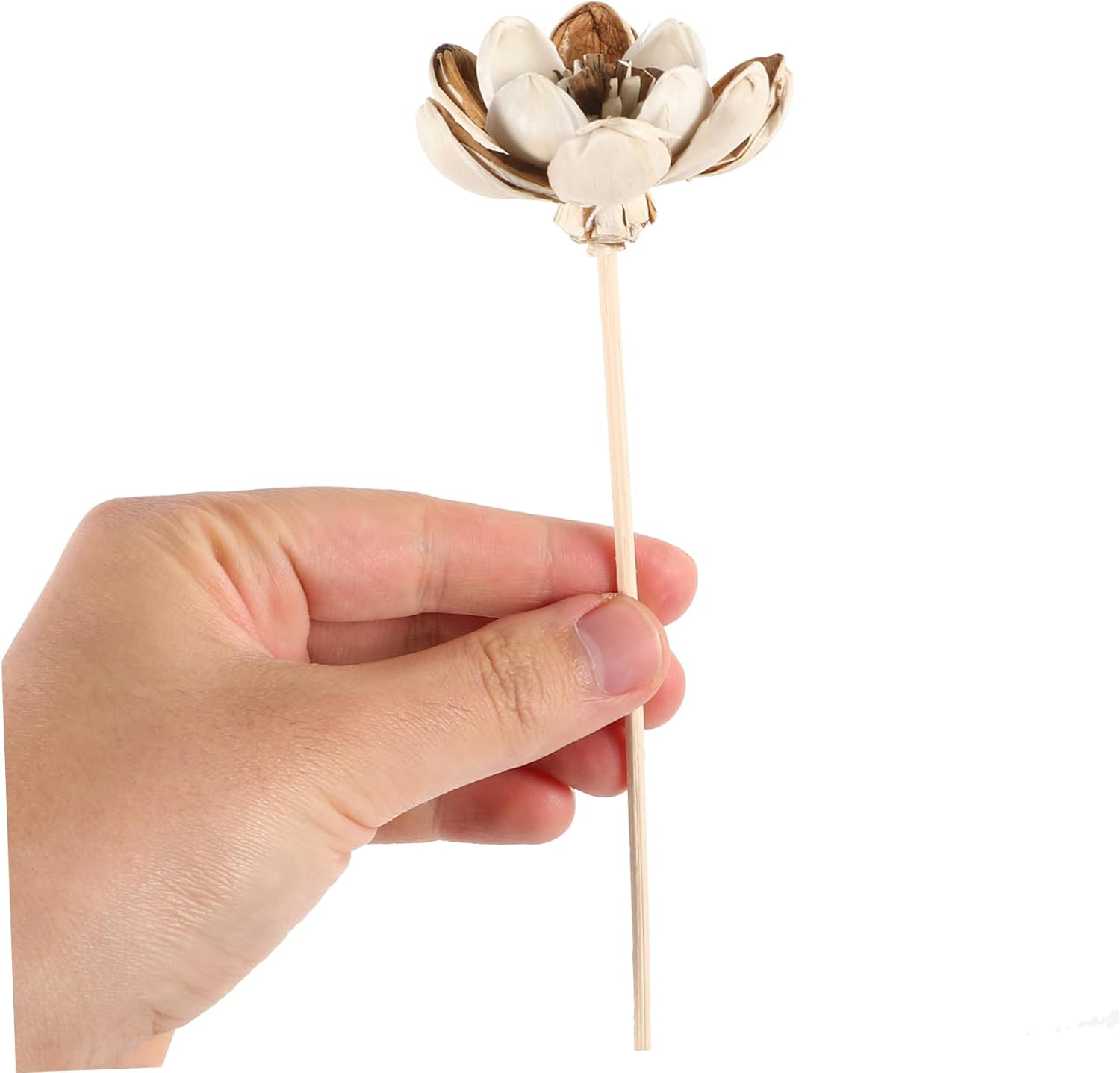 SEWACC 10Pcs Natural Flower Diffuser Sticks Aromatherapy Oil Fragrance for Home Scent Diffuser Bottles image number 3