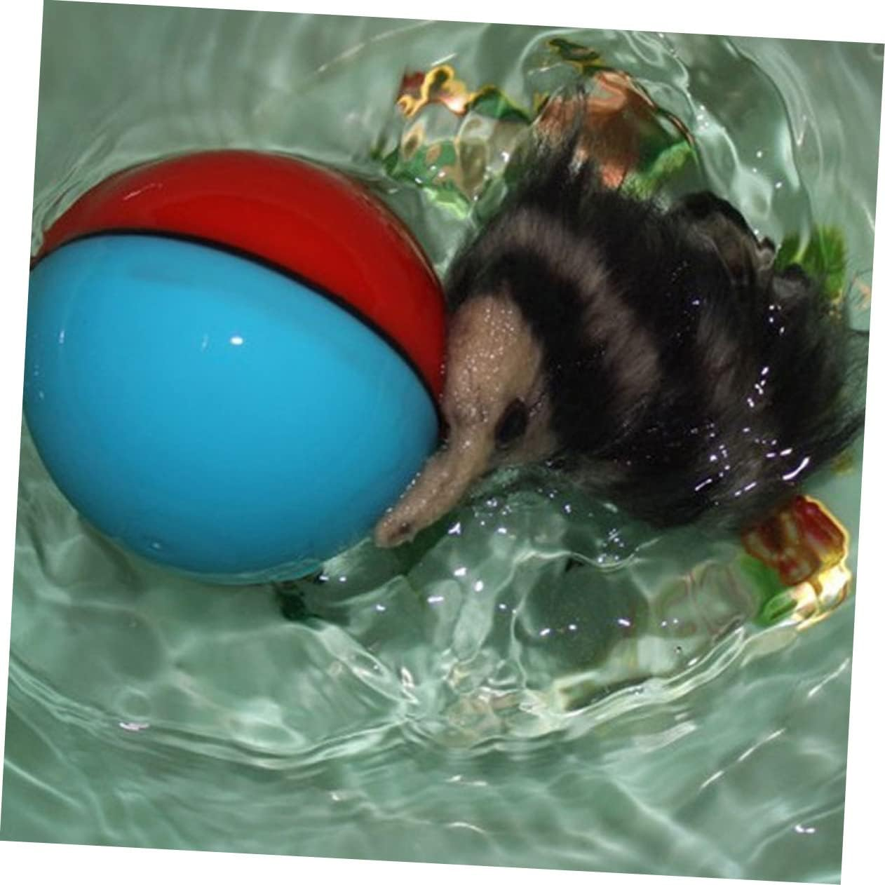 HYTROVE Electric Weasel Ball Toy Rolling Ball Interactive Cat Dog Puppy Toy Random Color Suitable for Pet Play and Exercise image number 6