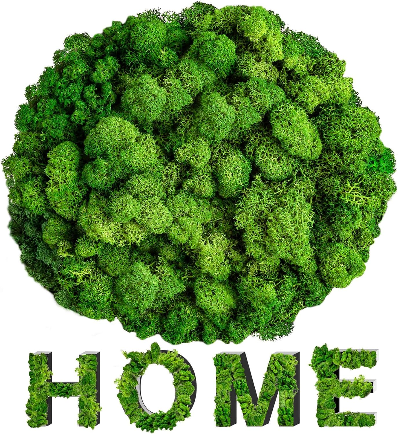 Sukh Preserved Moss - 3.5 OZ Moss for Crafts Faux Moss Decor Natural Green Moss DIY Art Wall Floral Moss Terrariums Gardenning Decor Wedding Easter Table Home Office Art Landscape Garden Decoration image number 4