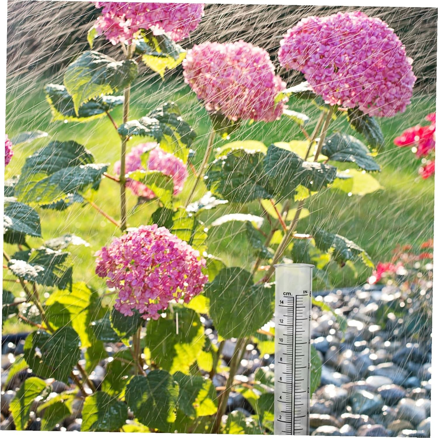 Ibasenice 2Pcs Transparent Shaped Rain Measuring Tubes Plastic Rain Gauges for Garden Supplies Accurate Precipitation Measurement Tools image number 2