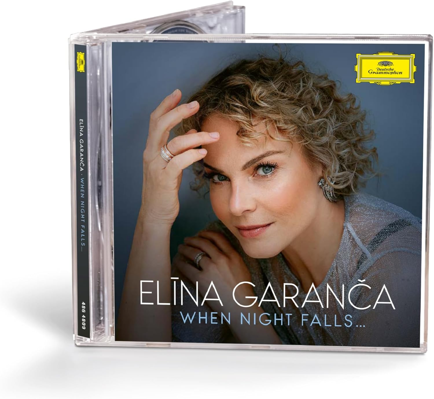 When Night Falls image number 1