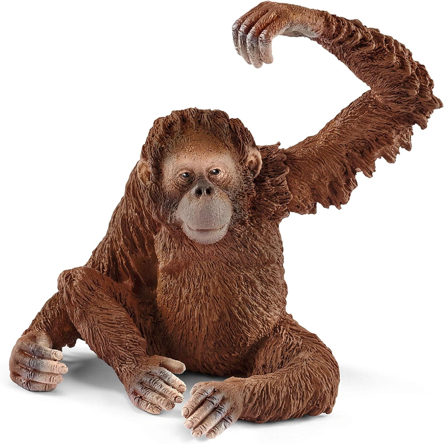 Schleich Wild Life, Animal Figurine, Animal Toys for Boys and Girls 3-8 Years Old, Female Orangutan, Ages 3+ image number 1